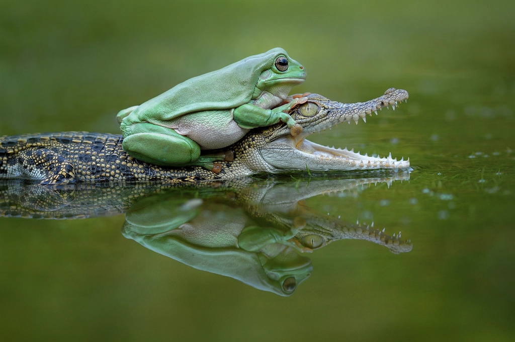 Best Friend by Edy Pamungkas on 500px.com