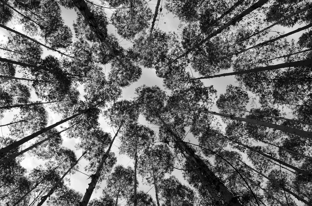 perspectiva by Jorge Luiz Saggioro on 500px.com