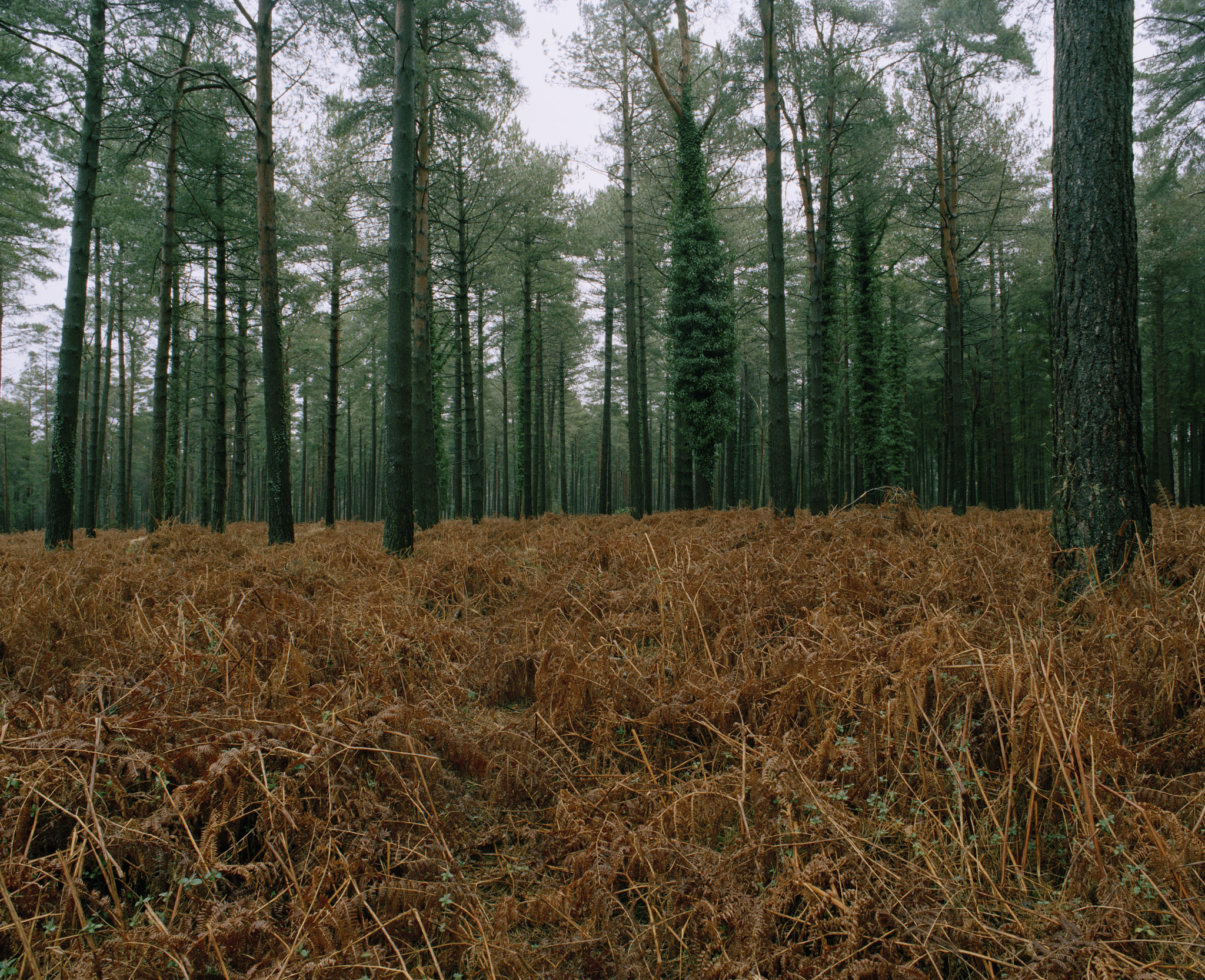 v2?sig=2c33800a7988b4c66ff16931ff26cf58fbab4c0fca08af54a44793c075e9fca2