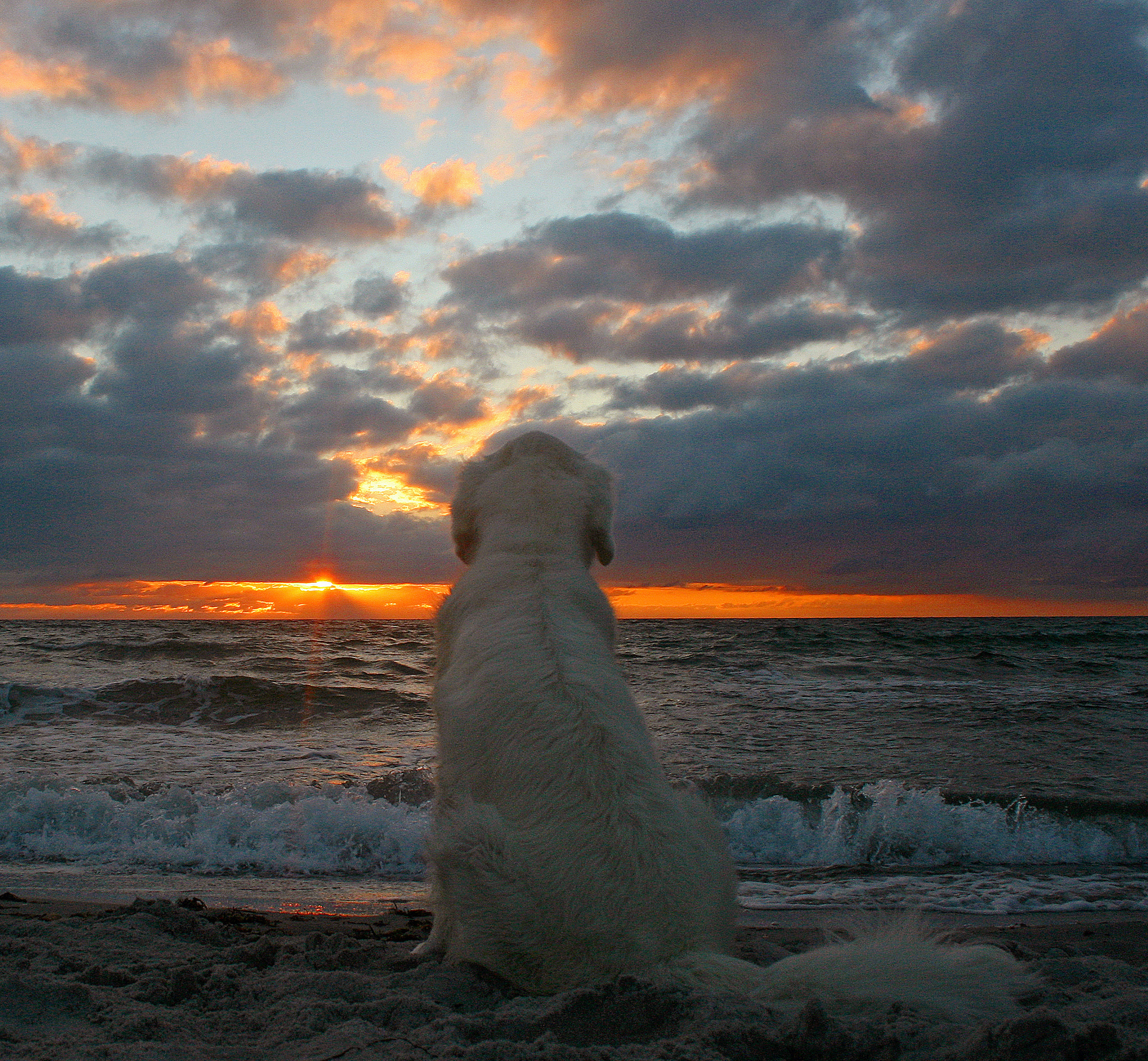 v2?sig=23dc4d611ec381b4ac8975be8d9040b3c