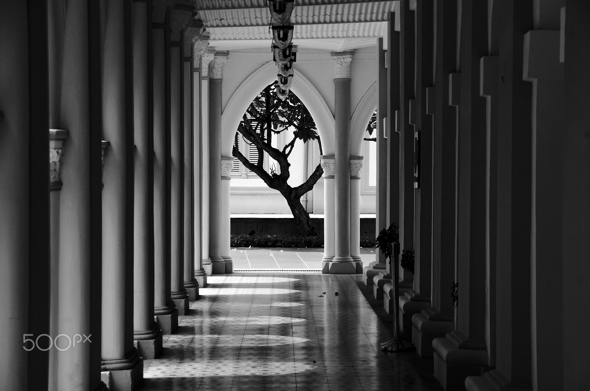 The Dancing Tree