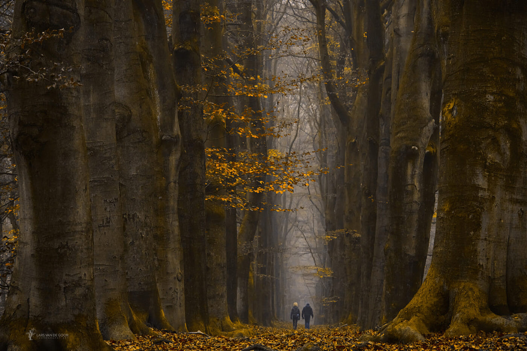 Among Giants by Lars van de Goor on 500px.com