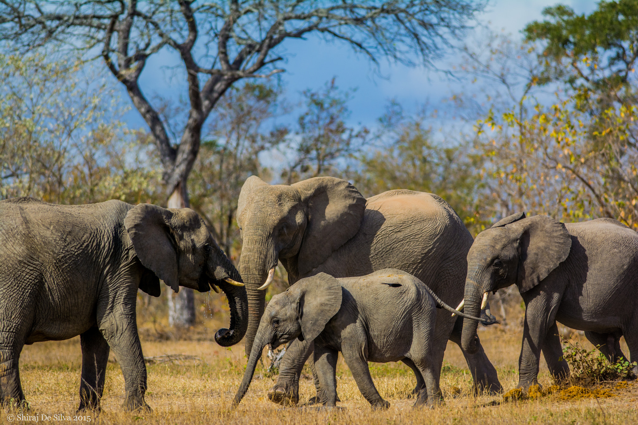 v2?sig=a3fef4a74cb8a66cd5b28b9a3a9b65331094cb49569f1a75252b6e6bc4cdcb00