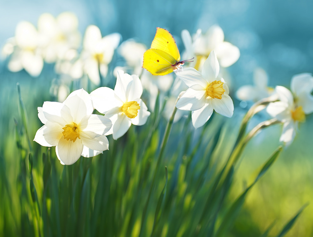 *** by Laura Pashkevich on 500px.com