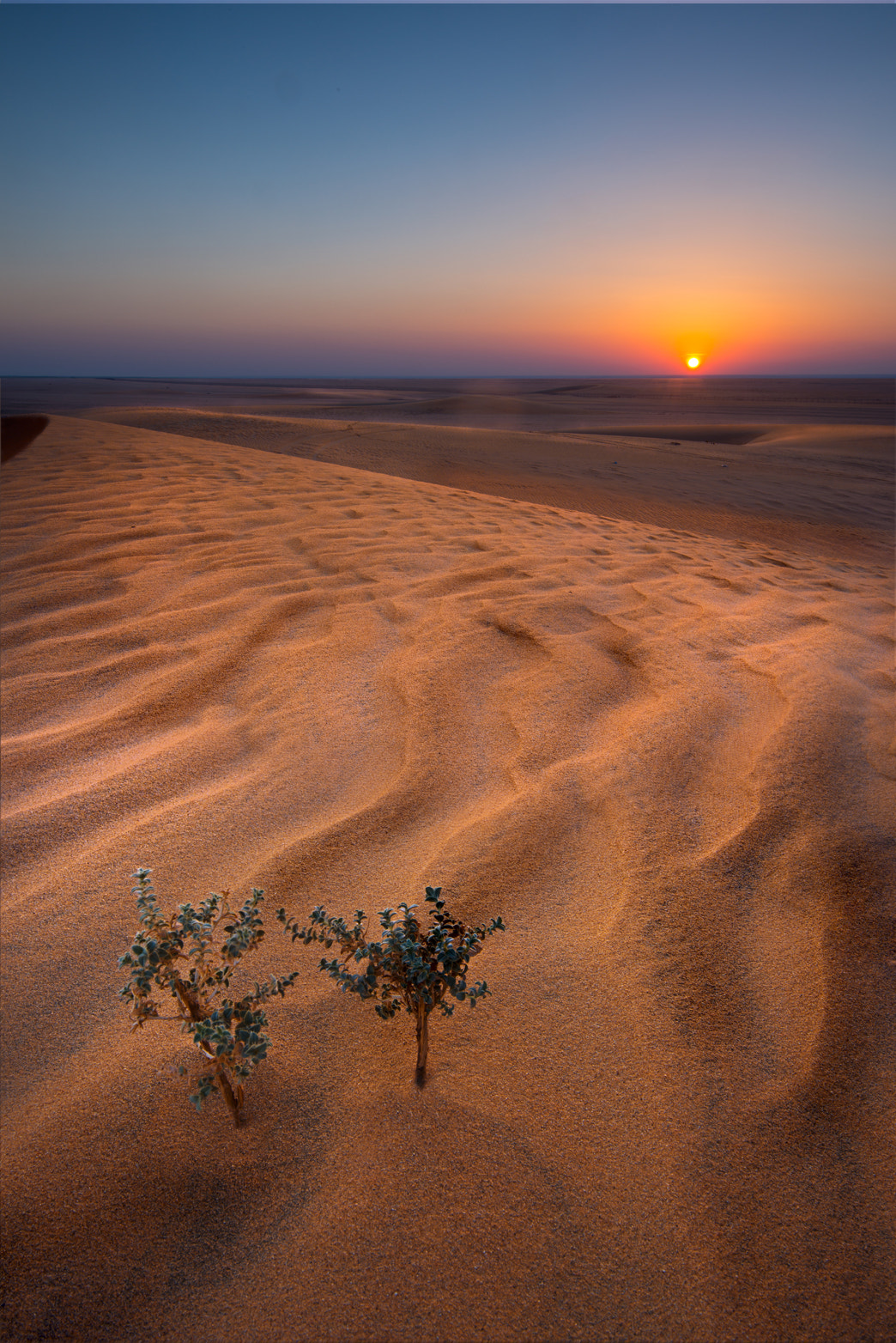 Kuwait Desert by Hamad al-failakawi - Photo 18673361 / 500px
