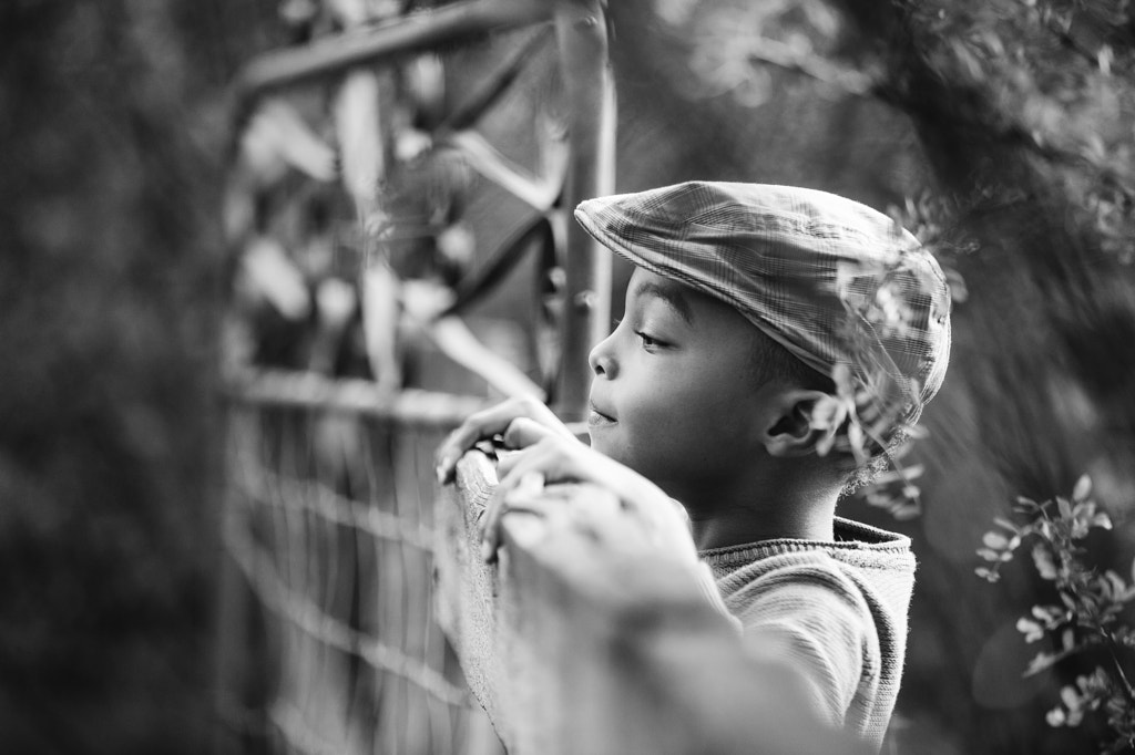 Peek by Jennifer Kapala on 500px.com