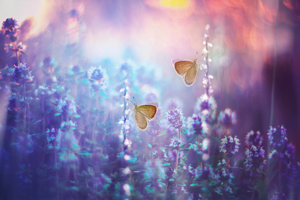 Here is US by Tri Setyo Widodo on 500px.com