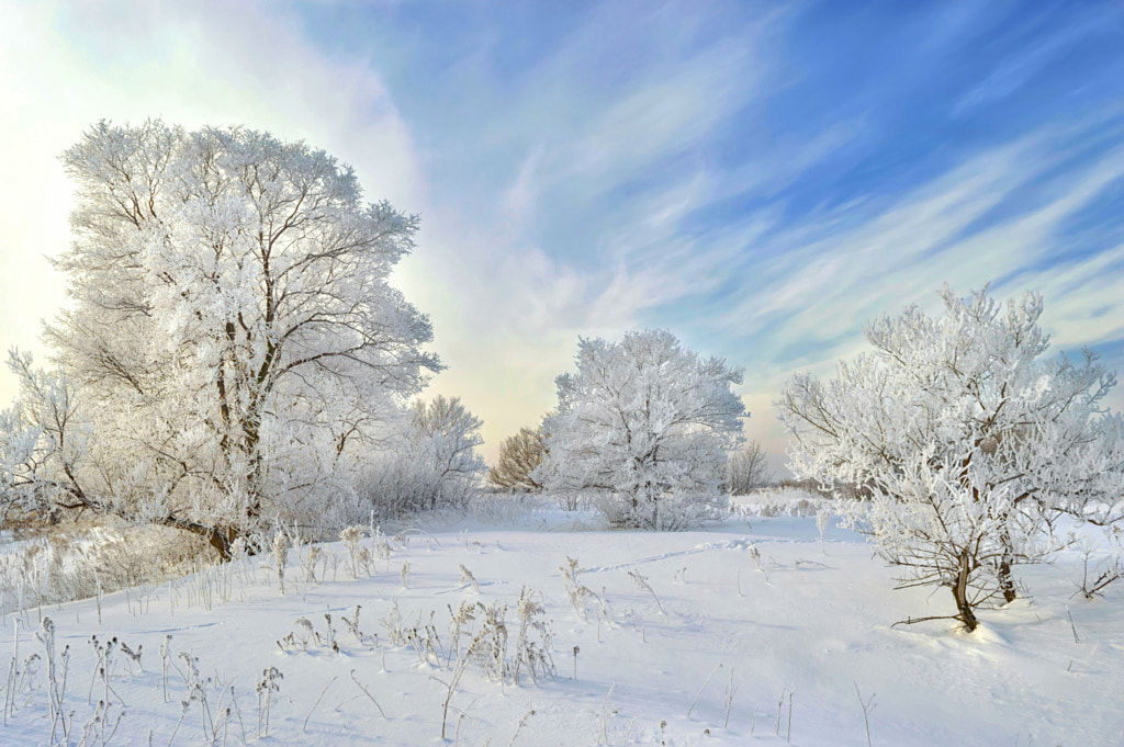 Winter wonderland! by Konstantin Baidin on 500px.com