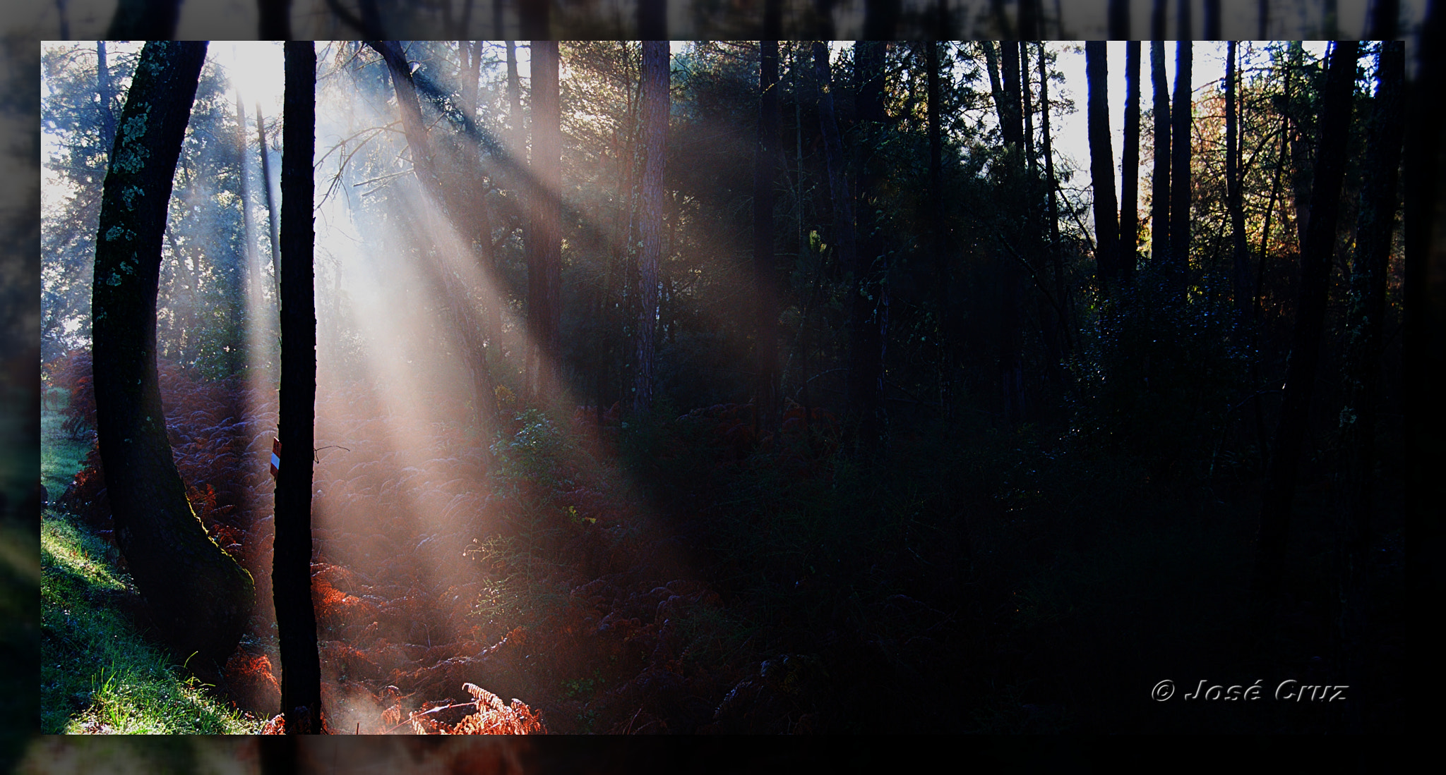 Autumn light