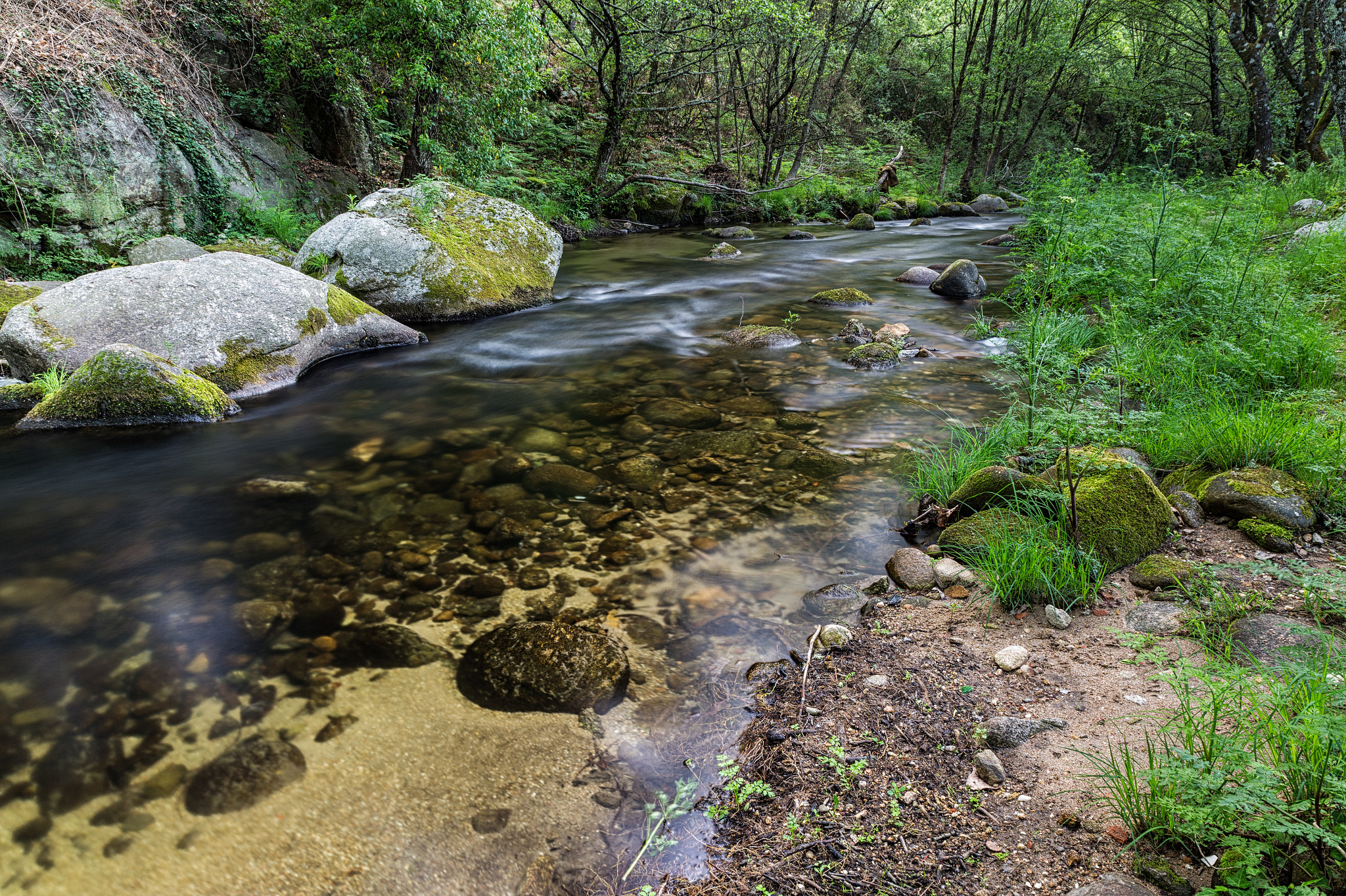 Garganta de Pedro Chate  020515-7582