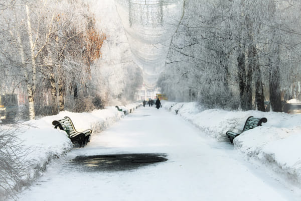 alley on Kirov Street by Nick Patrin on 500px.com