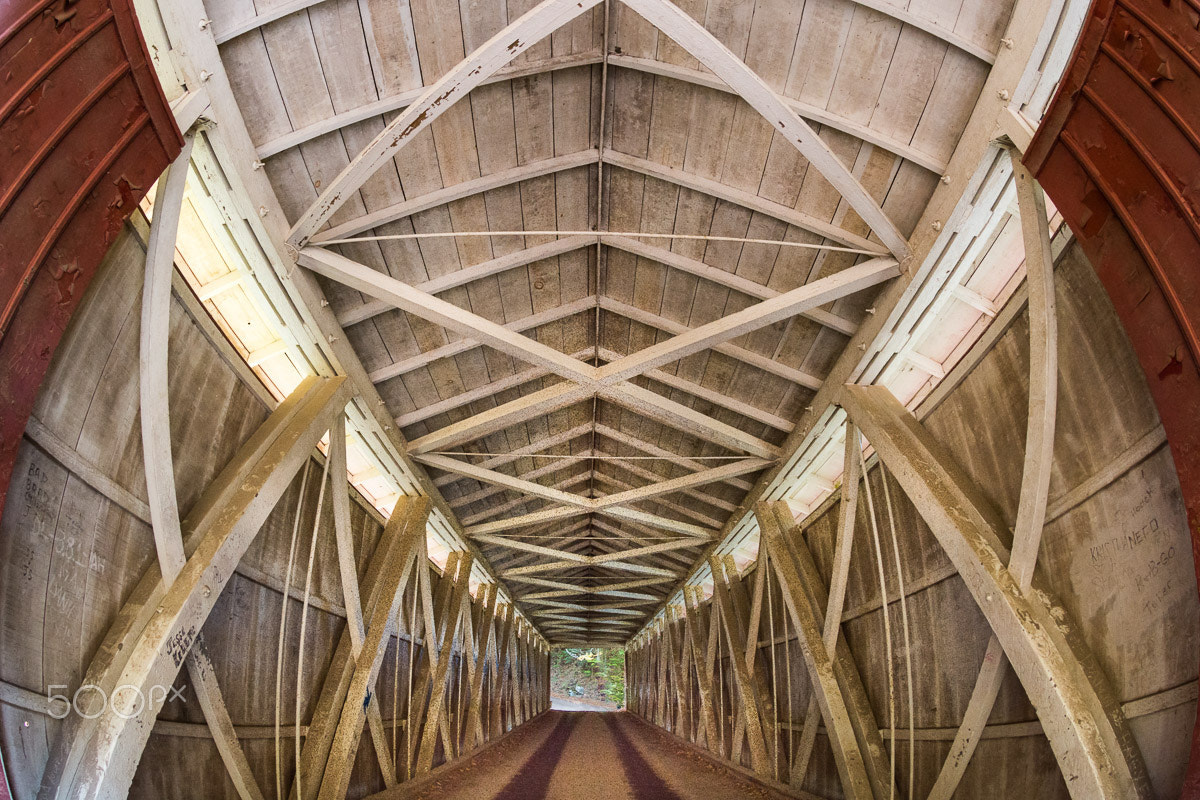 Nikon AF DX Fisheye-Nikkor 10.5mm F2.8G ED sample photo. Covered bridge interior photography