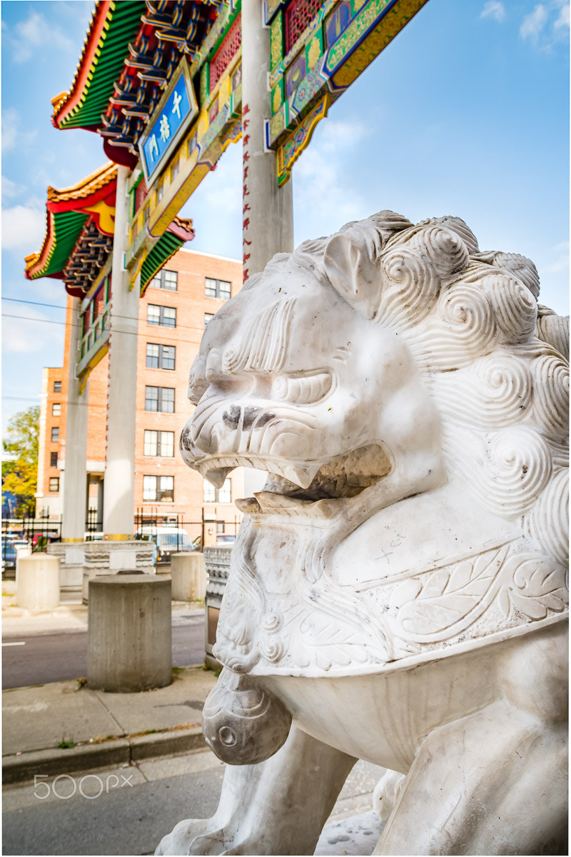 Nikon D500 sample photo. Chinese gate entering china town photography