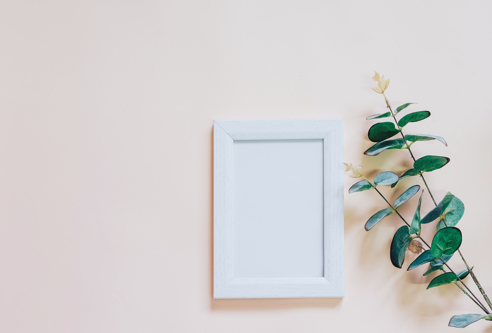 Mockup of blank photo frame with green plant