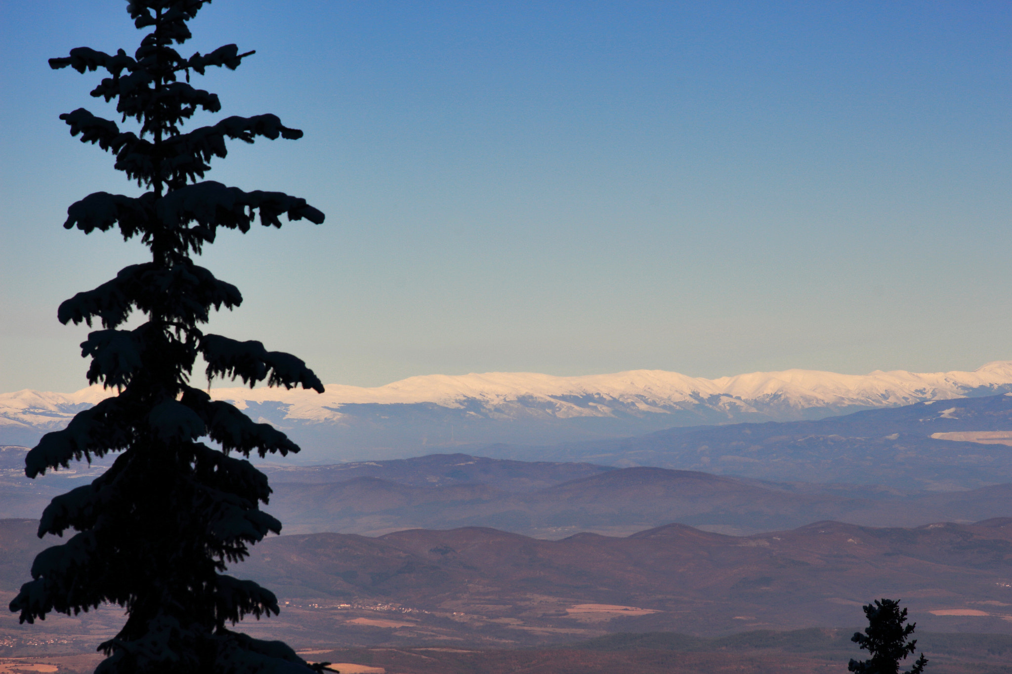 View