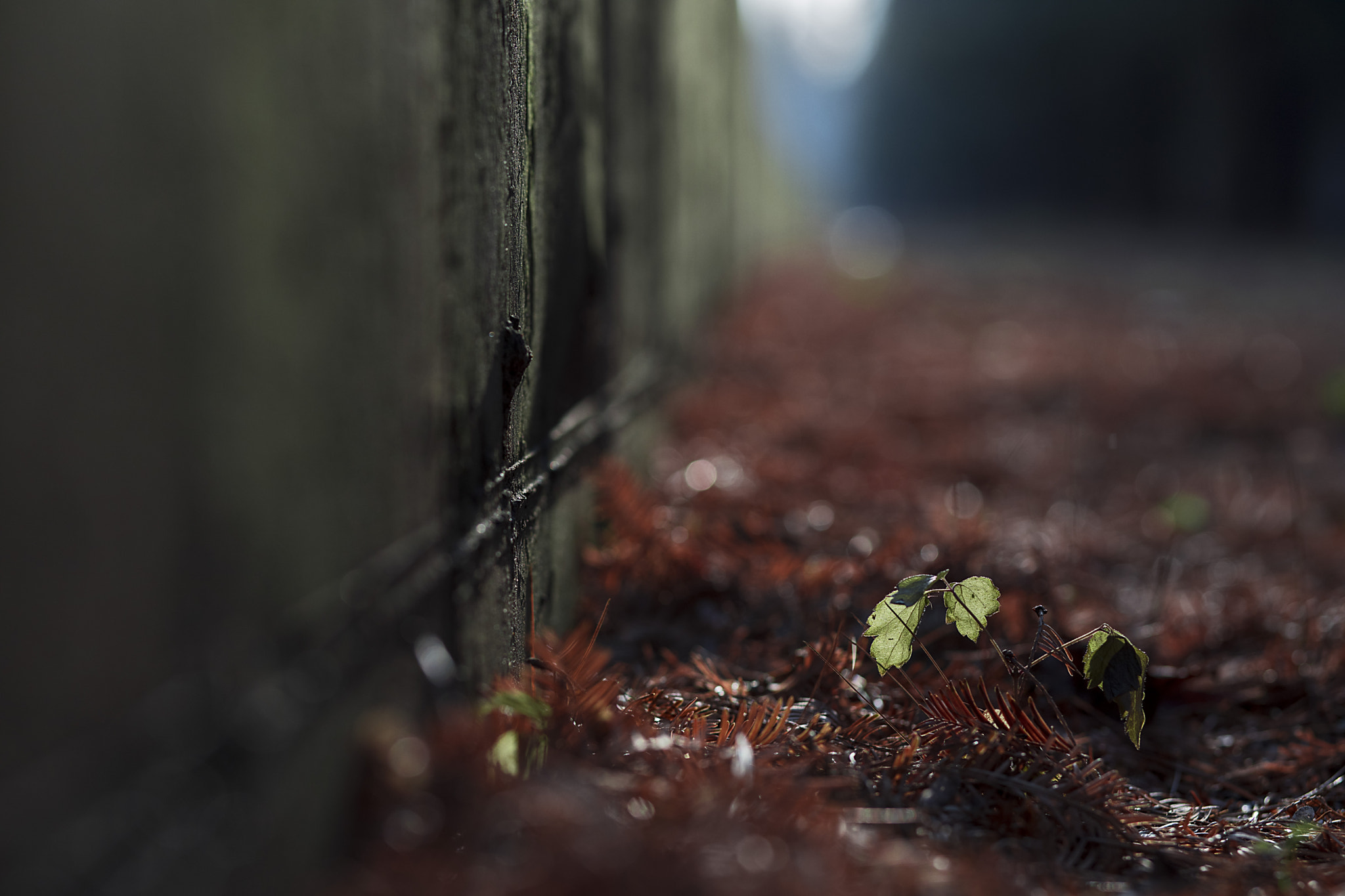 v2?sig=8196e2f12015fafc382ff3ca098db89e89bd07badcf2a9251aaa5661bd245830