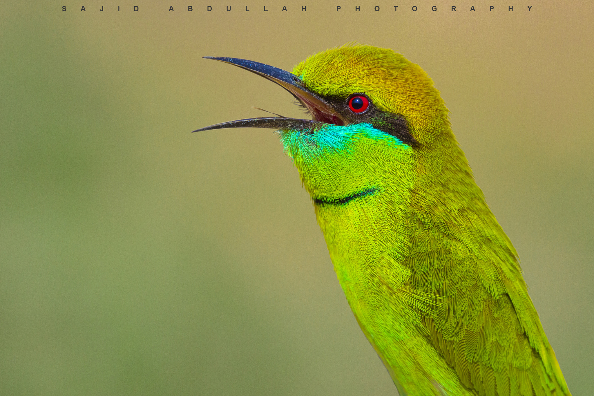 Canon EOS 5DS R sample photo. Colors of nature!! photography