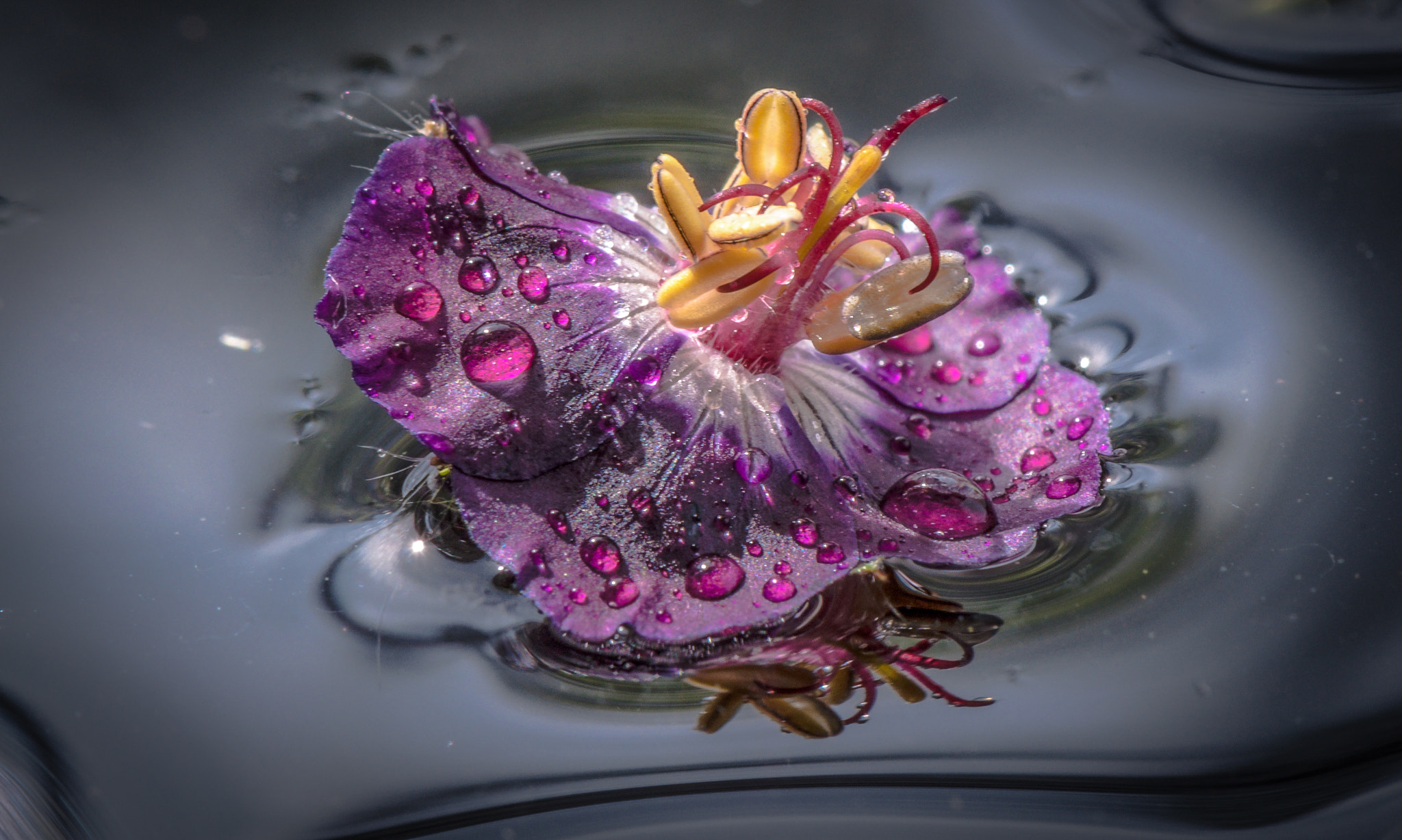 Advertising. Реклама.