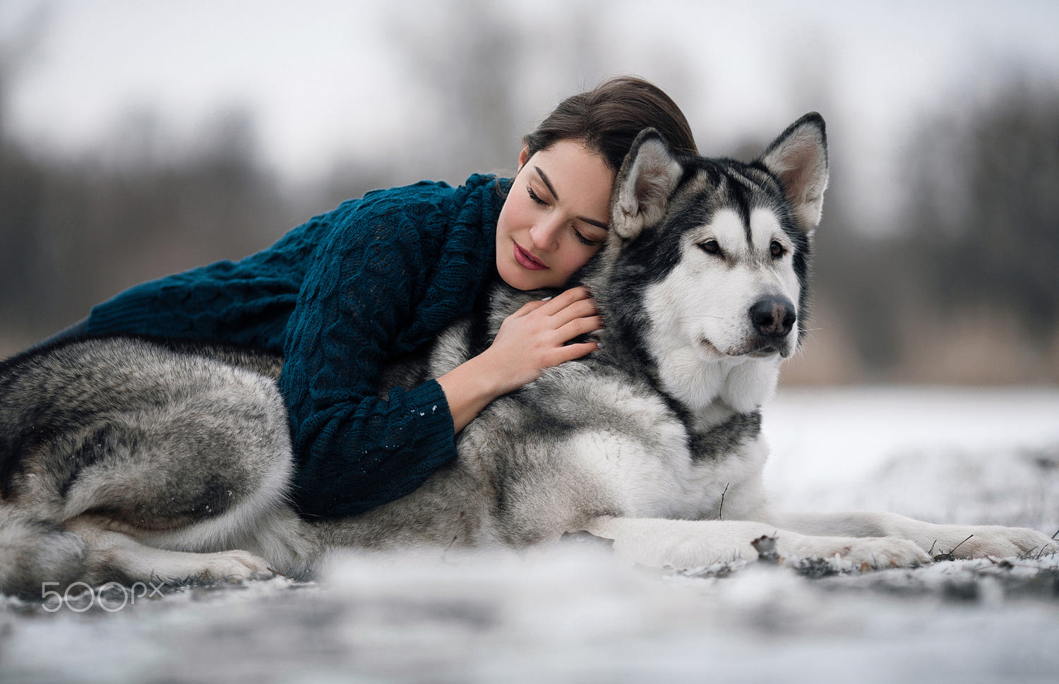 Girl lies and hugs dog Alaskan Malamute by Stanislav Hubkin / 500px