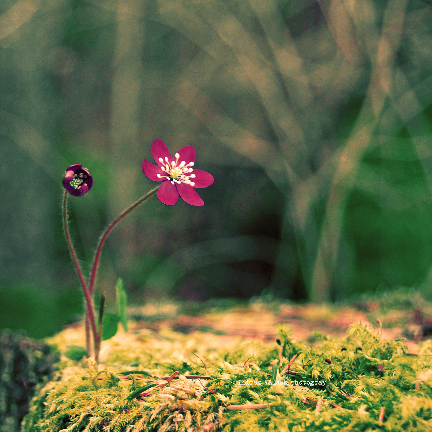 v2?sig=ddee2178d5be07a66f0f94091eddc8b22