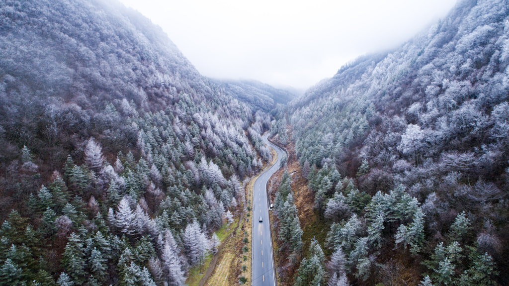 Aerialview of Shennongjia forestry reserve, central China's Hubei Province, Dec. 25, 2016. by KeHao on 500px.com