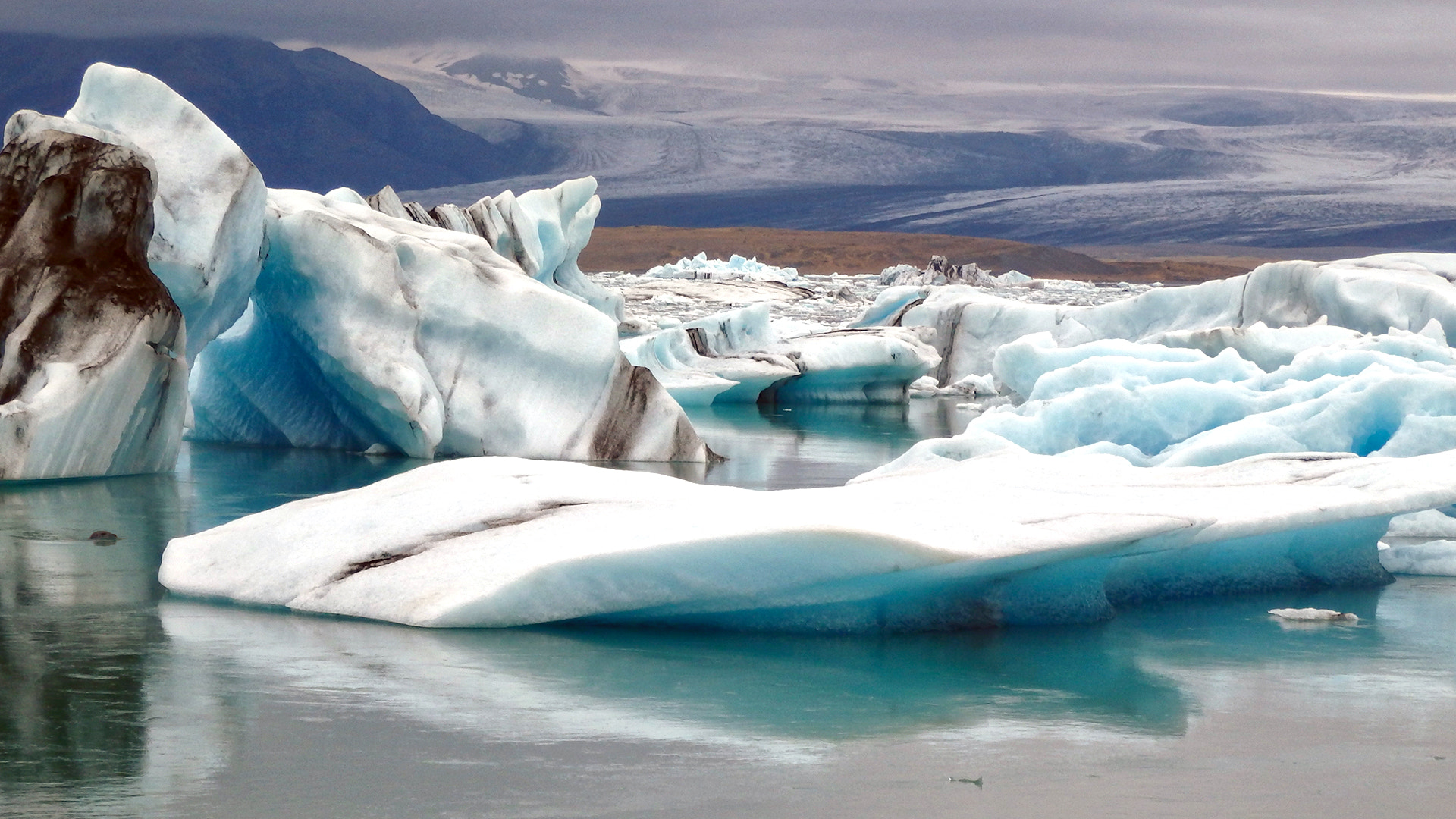 Olympus SZ-16,DZ-105 sample photo. Seal at jökulsárlón, iceland photography