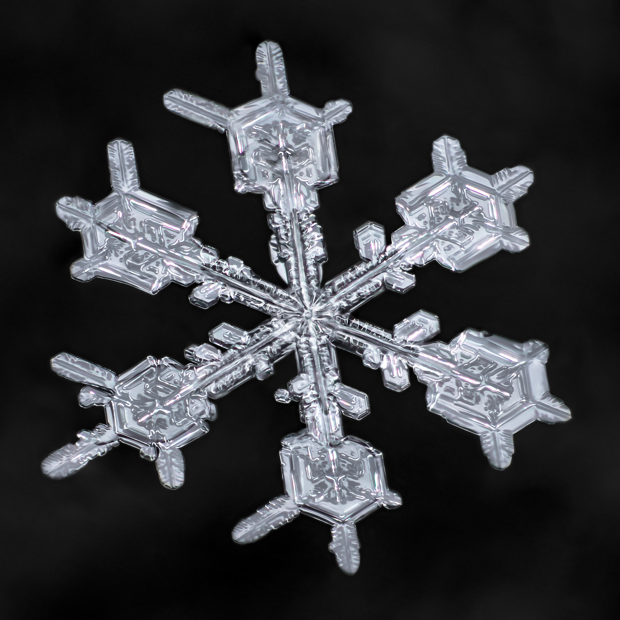 Canon MP-E 65mm F2.5 1-5x Macro Photo sample photo. Snowflake-a-day #26 photography