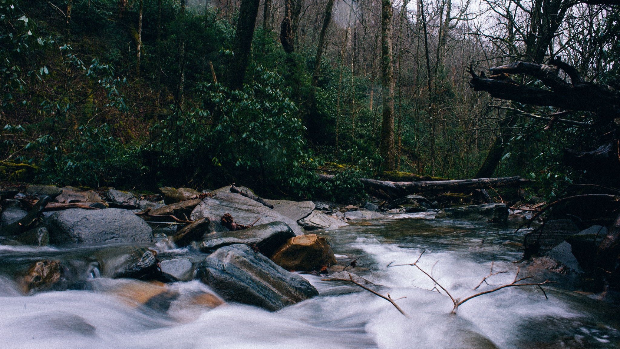 Nikon D700 sample photo. River water, safe? photography