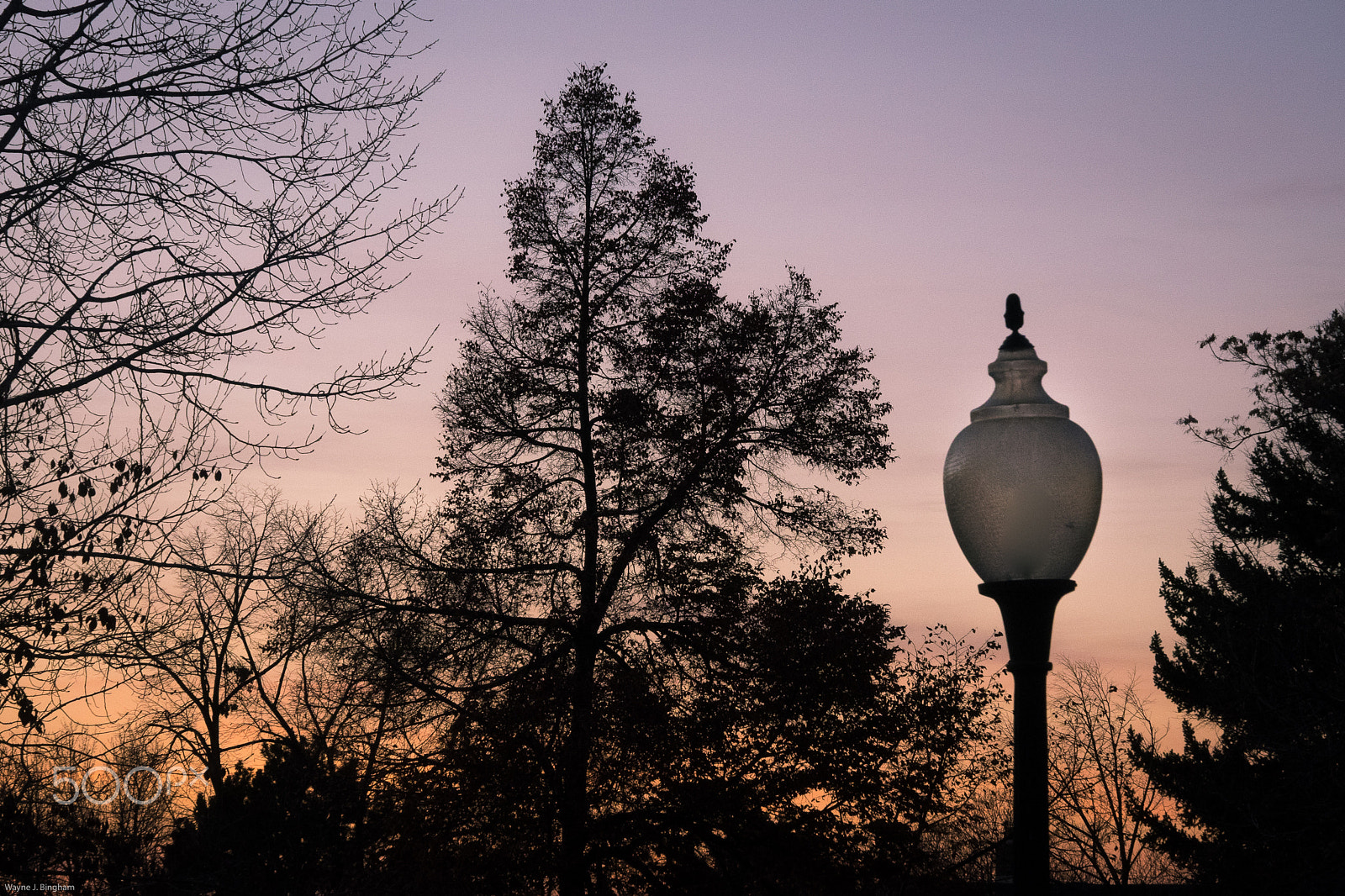 Olympus OM-D E-M1 sample photo. Winter twilight photography