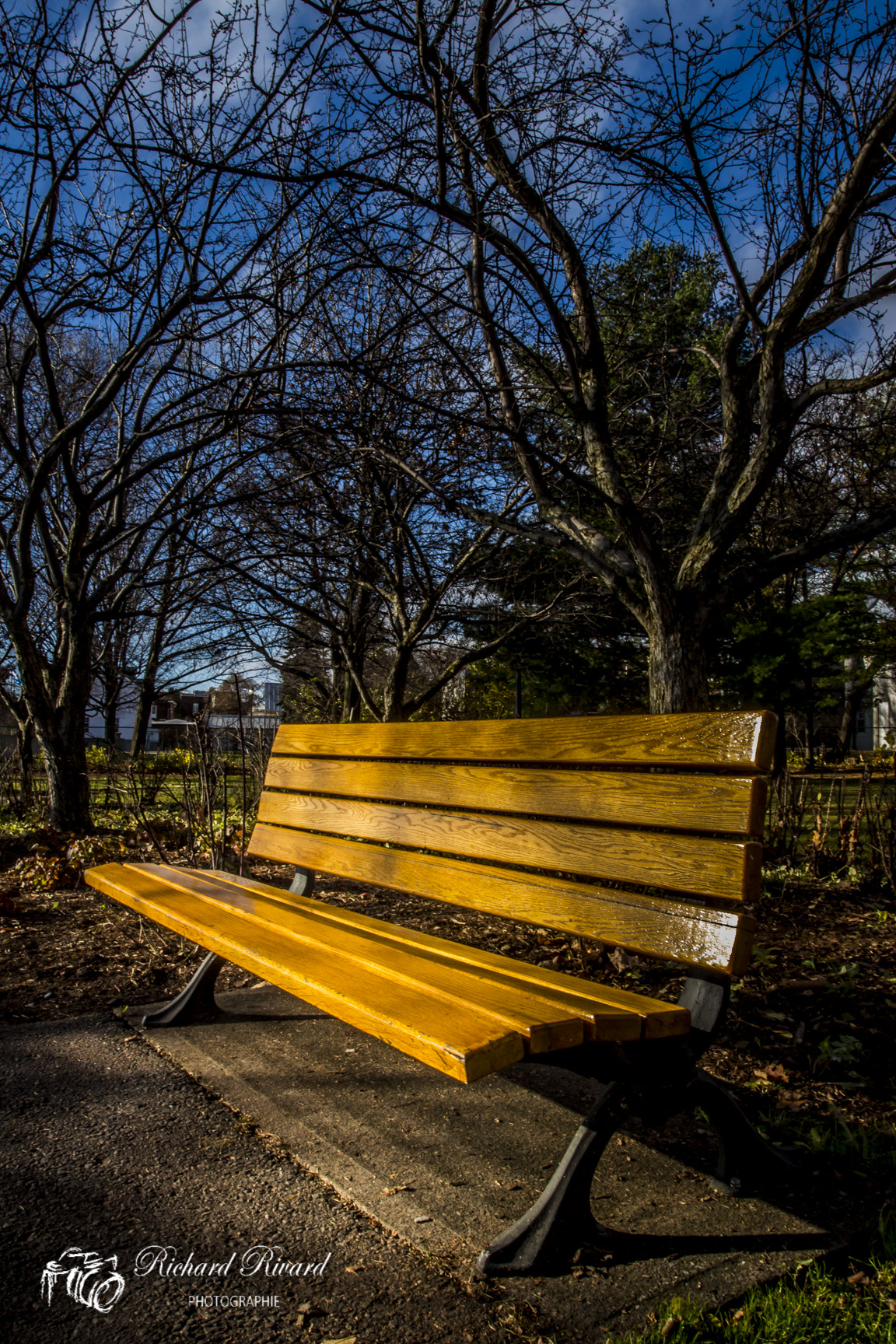 Canon EOS 700D (EOS Rebel T5i / EOS Kiss X7i) + Canon EF 17-40mm F4L USM sample photo. Meditation photography