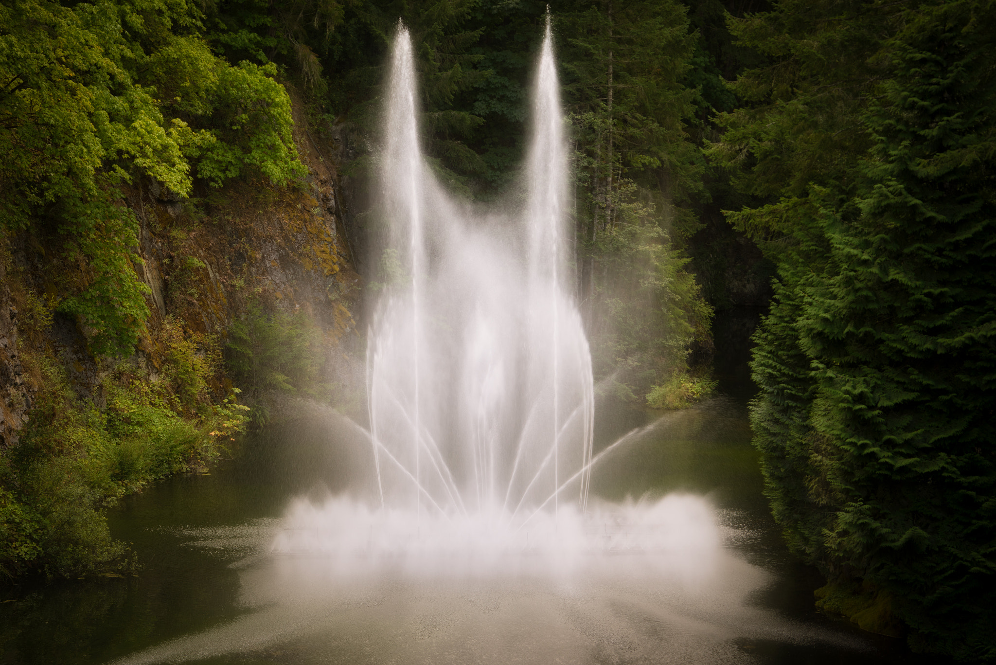Sony a7R sample photo. Fountain at butchart gardens photography