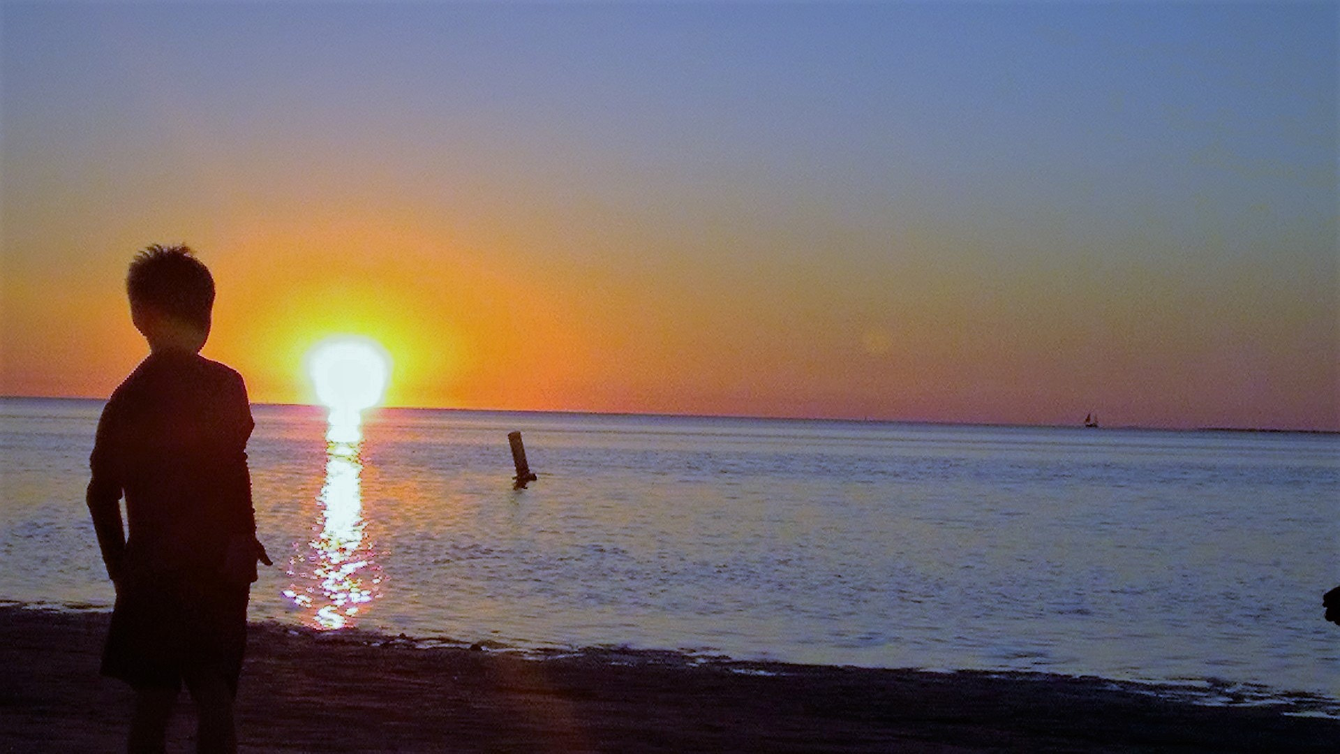 Nokia Lumia 830 sample photo. Beachman () photography