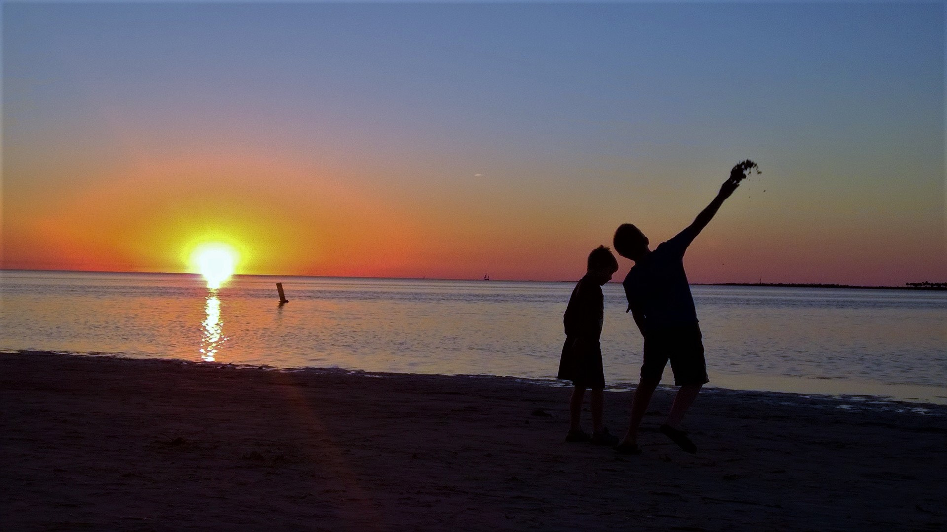 Nokia Lumia 830 sample photo. Beachsandjacks () photography