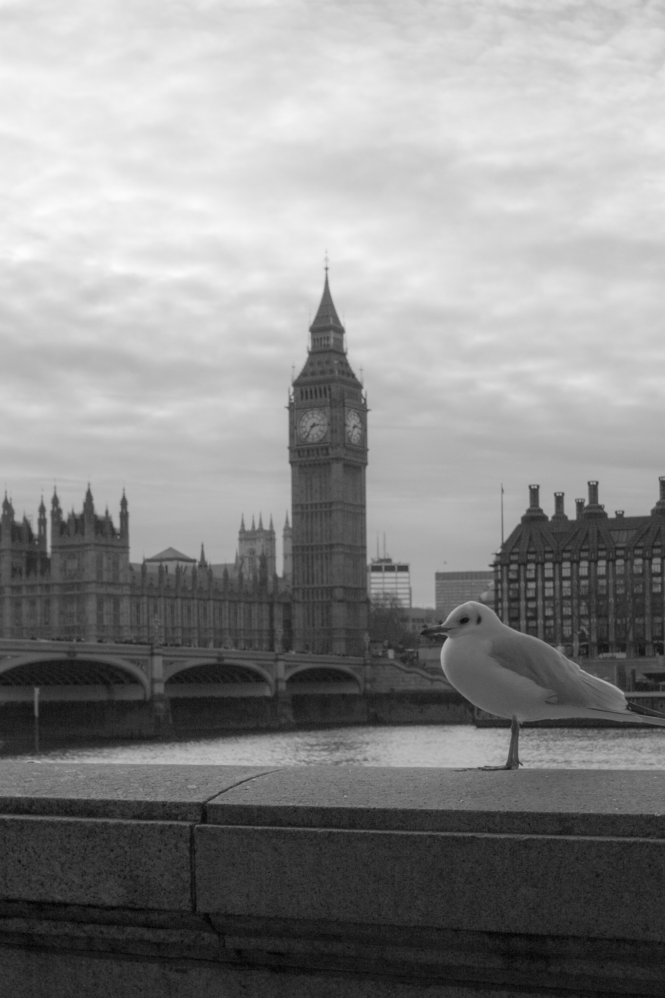 Canon EOS M sample photo. London photography