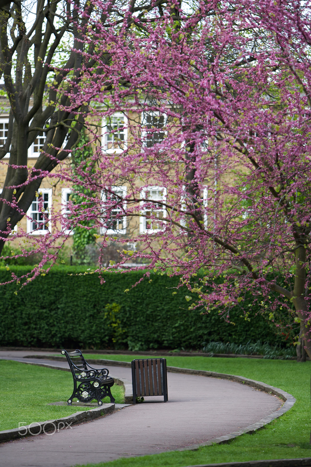 Canon EF 70-200mm F2.8L IS USM sample photo. Park photography