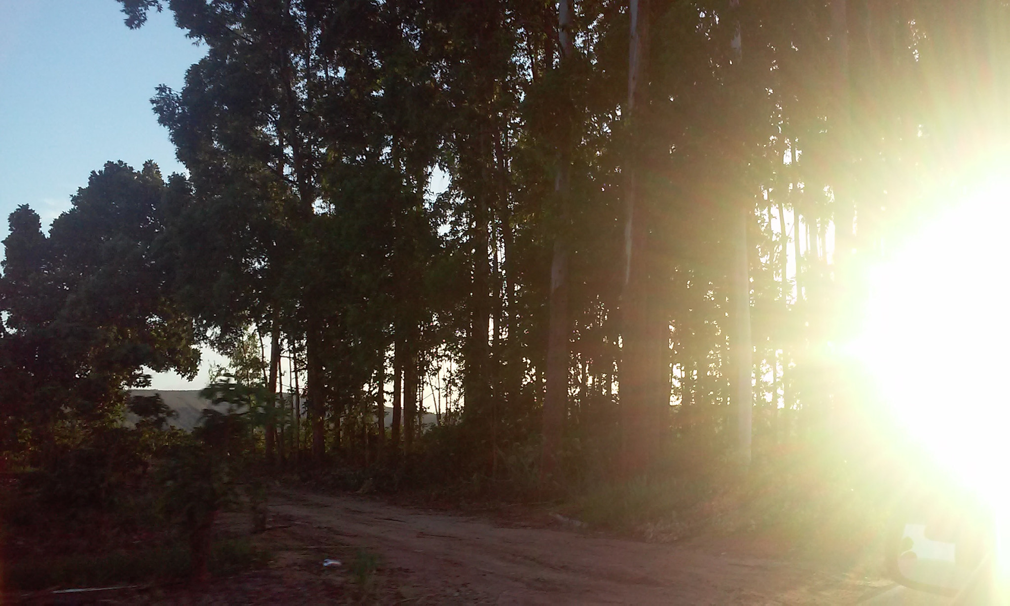 LG L70 sample photo