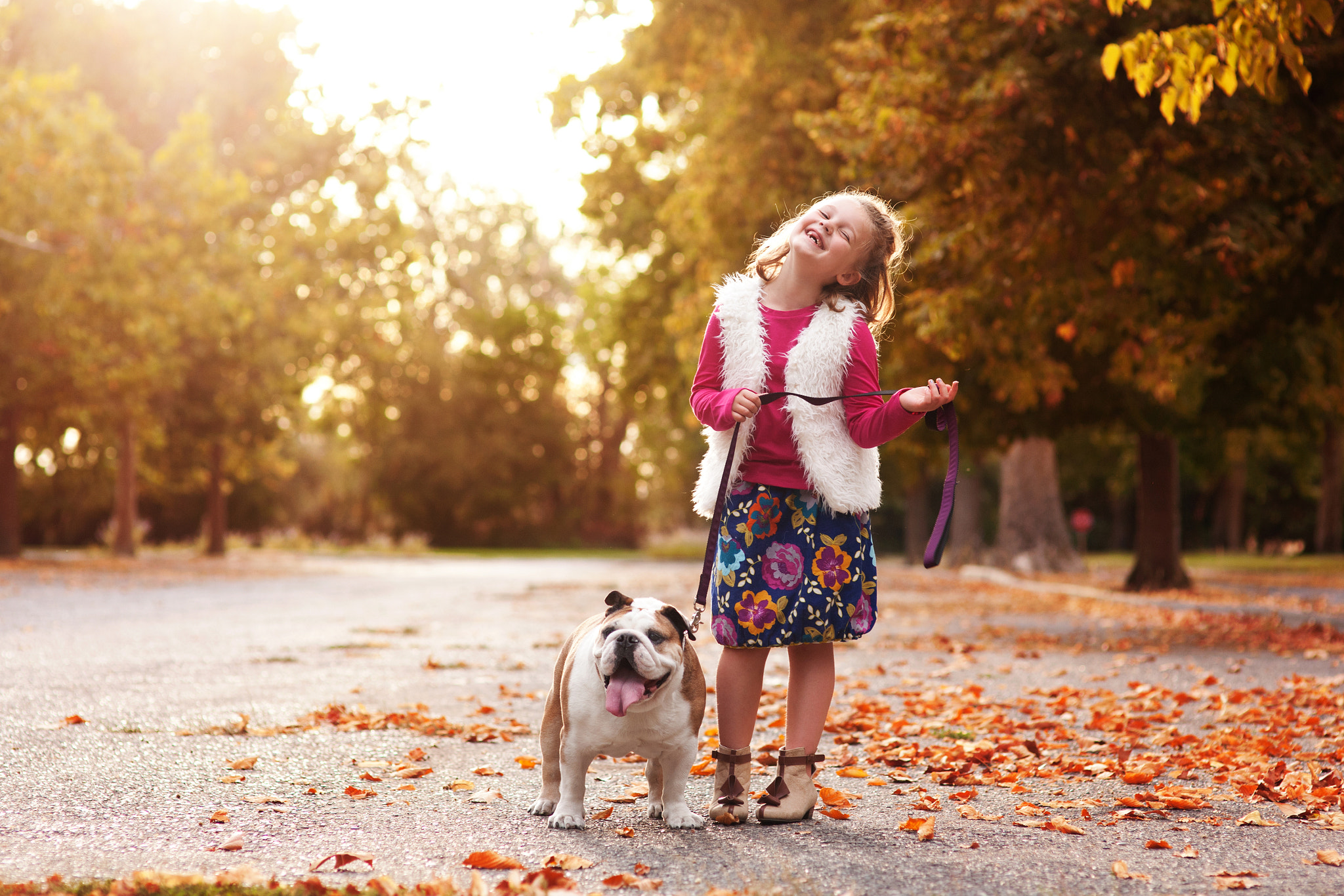 Sigma 85mm F1.4 EX DG HSM sample photo. Bulldog besties photography