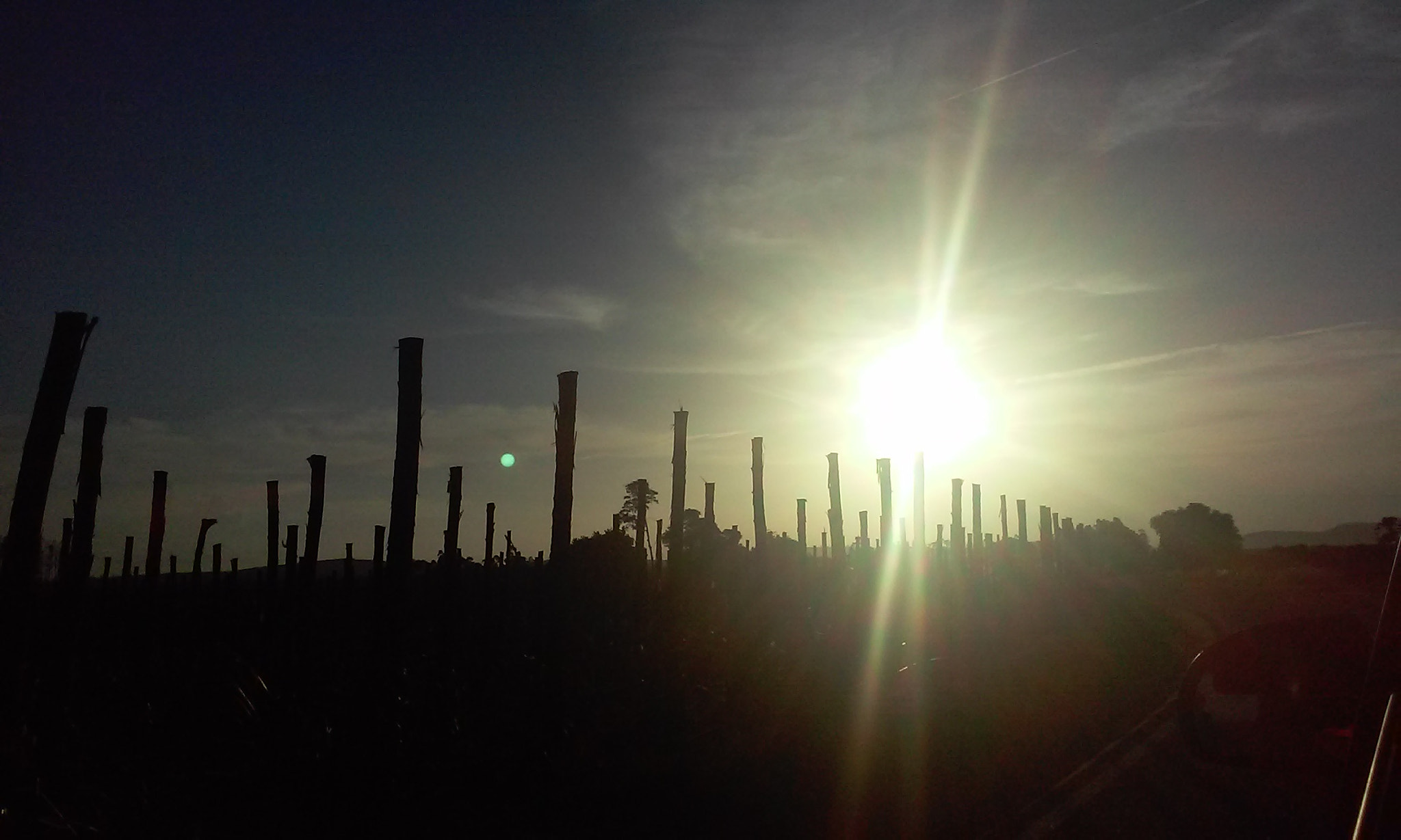 LG L70 sample photo