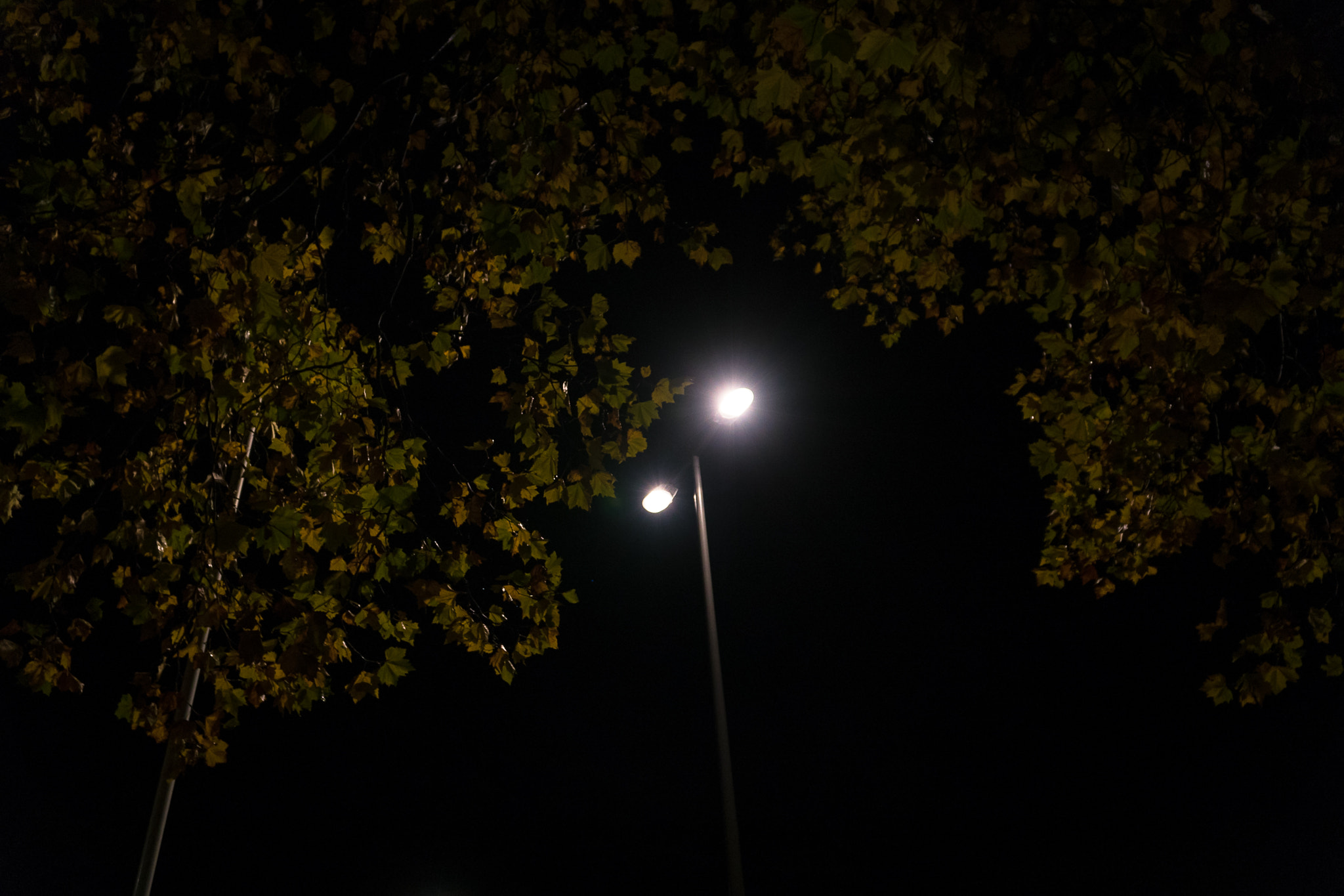 Sony a7 II + Sony E PZ 18-105mm F4 G OSS sample photo. Europe 2016 photography