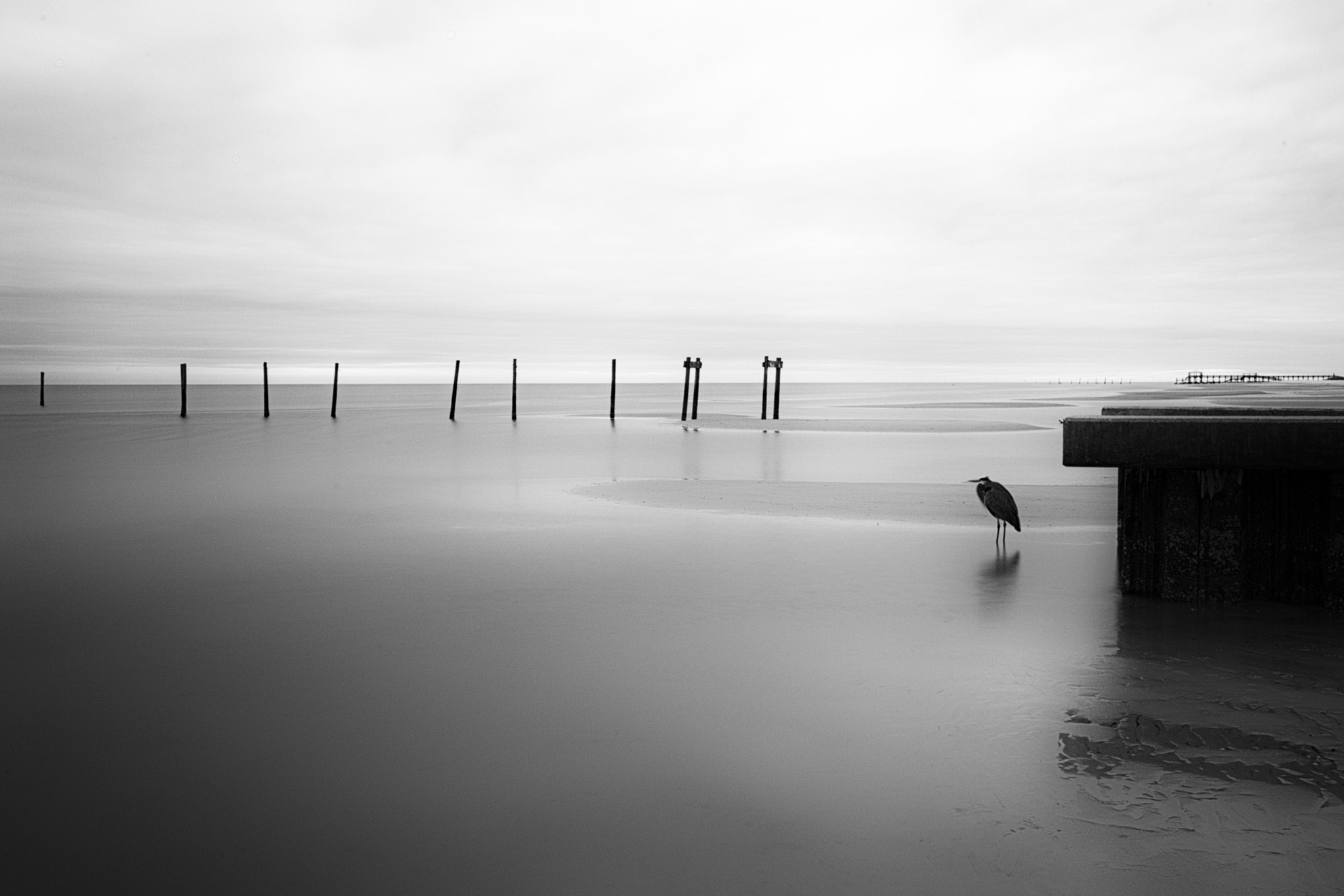 Canon EF-S 10-22mm F3.5-4.5 USM sample photo. Gulf keeper photography