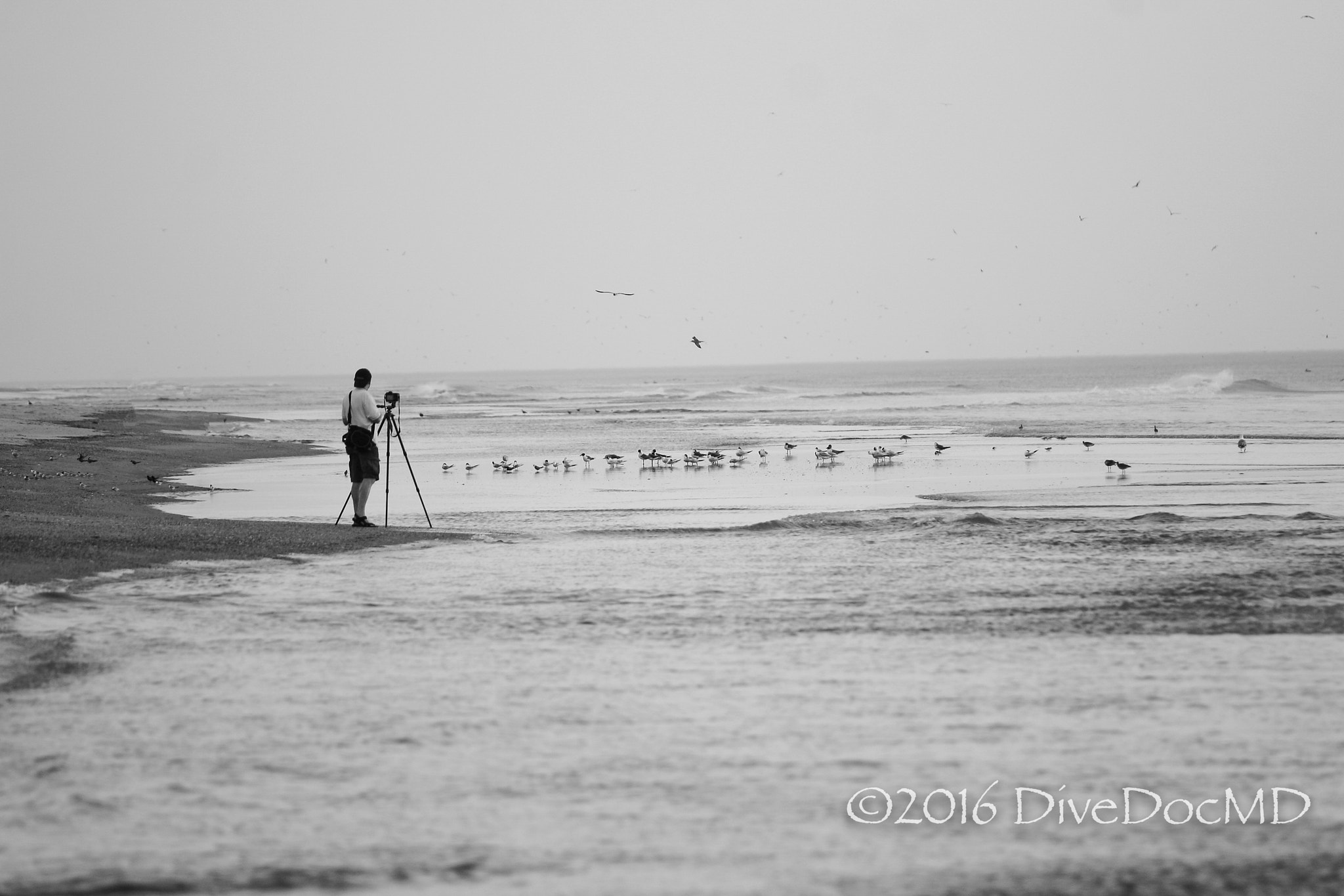 Canon EOS 30D + Canon EF 70-200mm F4L USM sample photo. Waiting for the right light..... photography