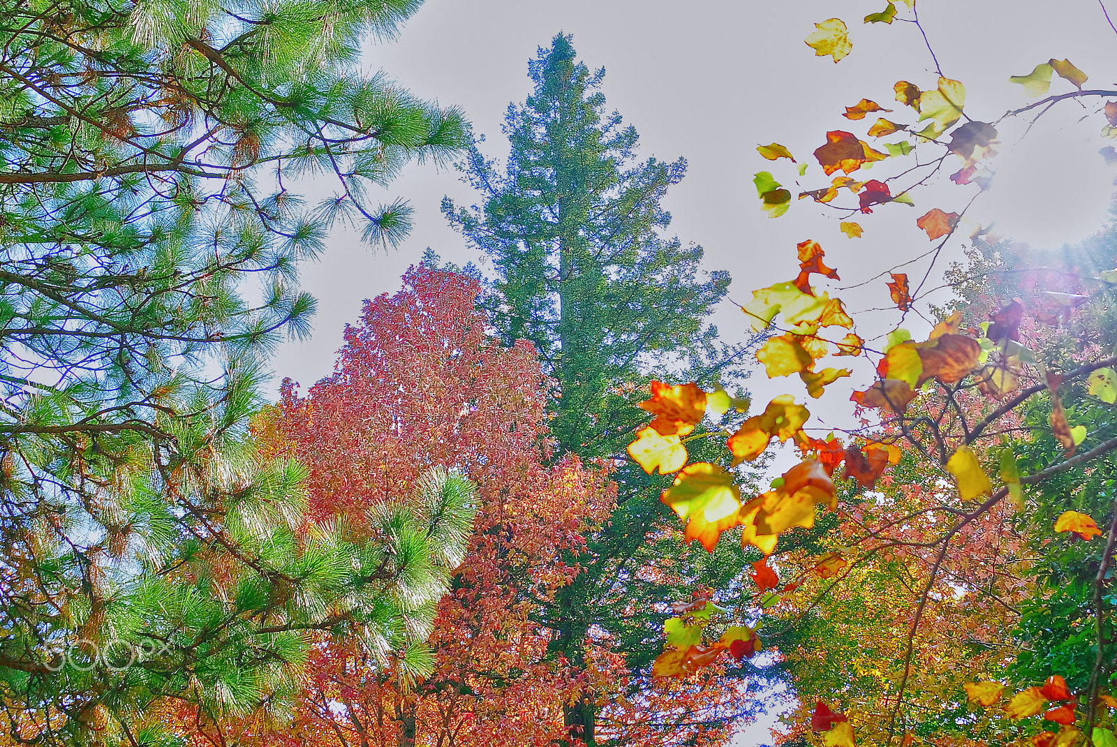 Nikon D200 sample photo. Freshness was in this place photography