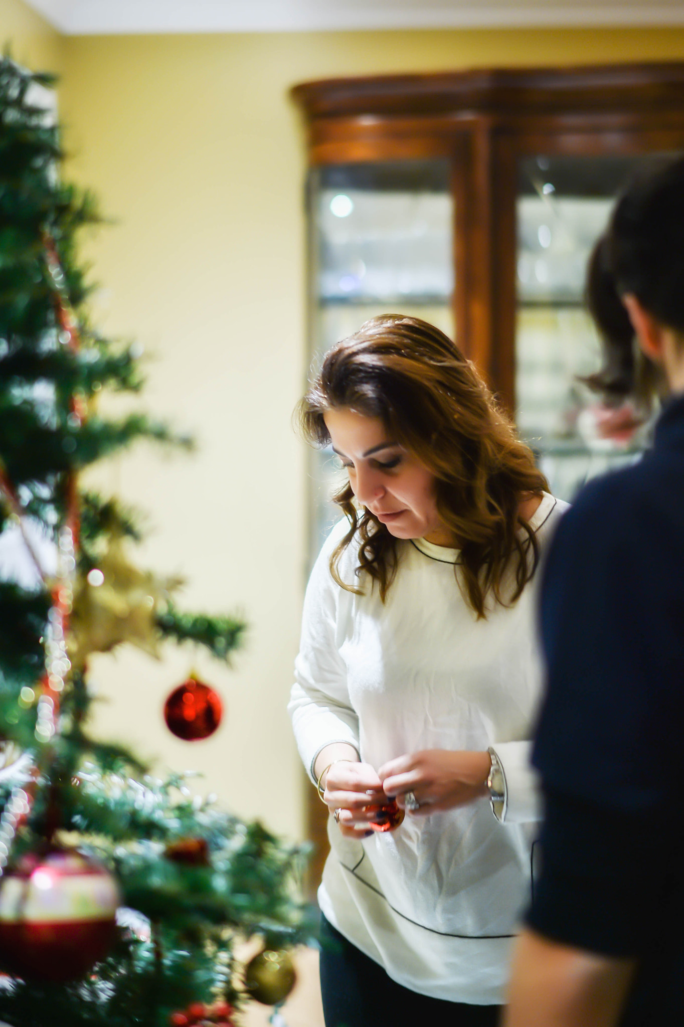 Nikon Df + Nikon AF-S Nikkor 58mm F1.4G sample photo. Decorating the tree... photography