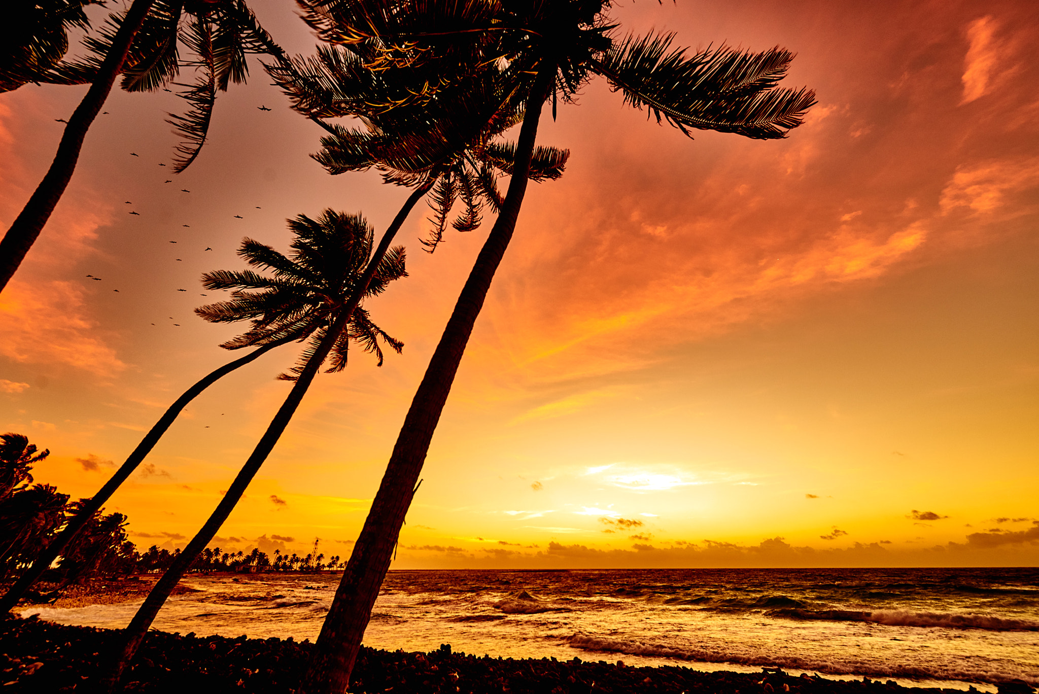 Nikon AF-S Nikkor 14-24mm F2.8G ED sample photo. Windy pre-dawn on half moon caye photography