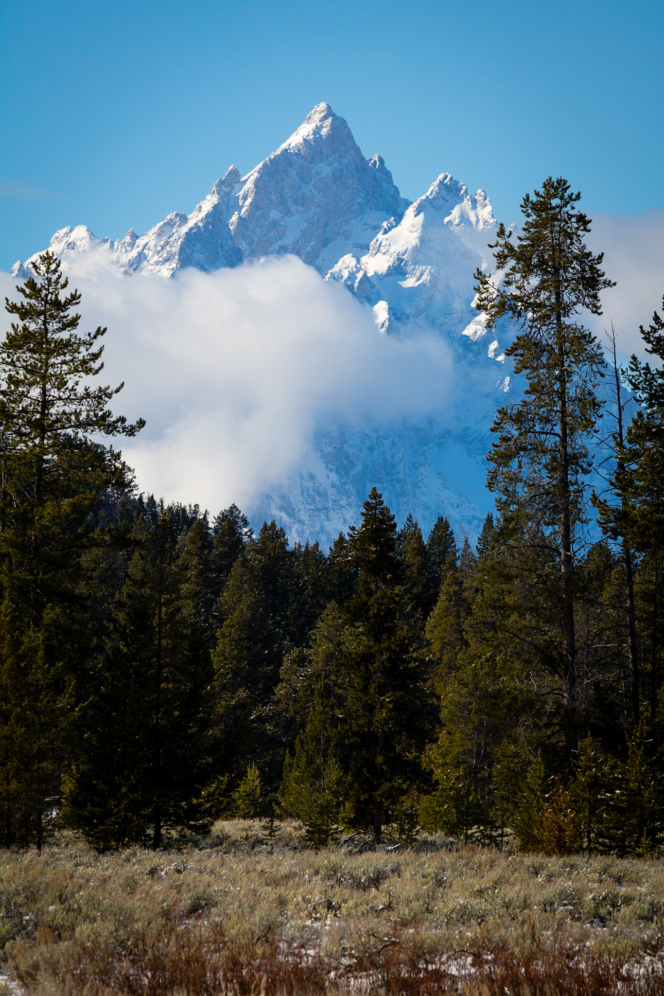 Canon EF 70-200mm F2.8L USM sample photo. Teton castle photography