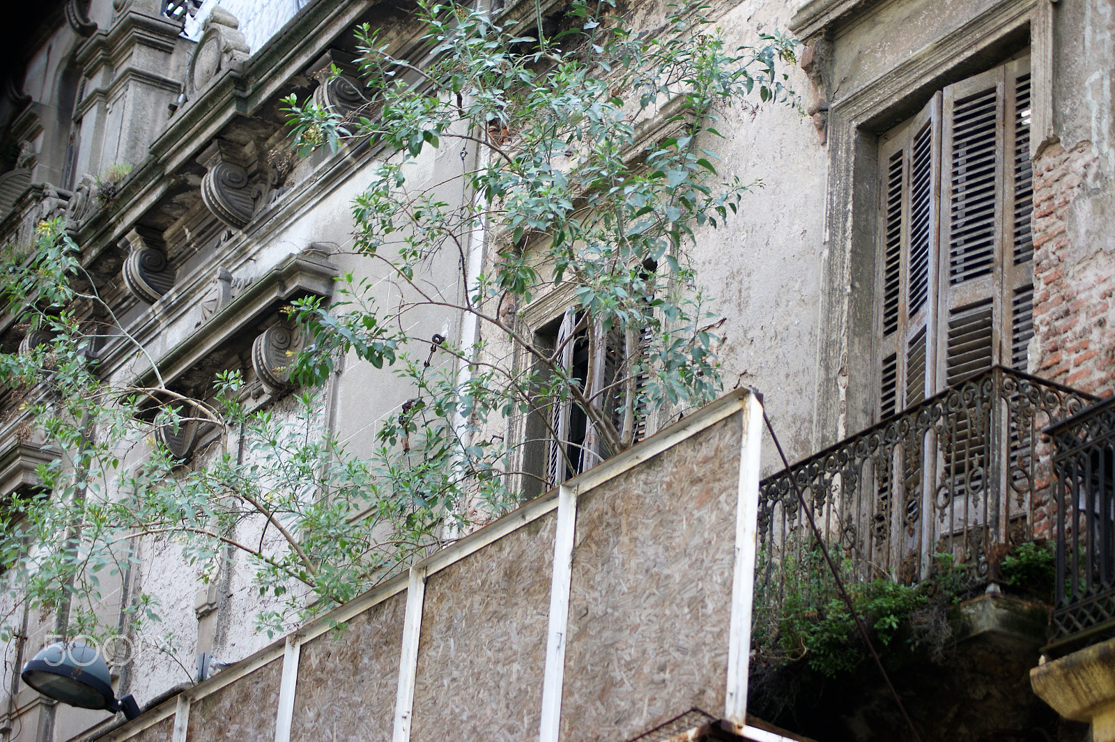 Sony Alpha DSLR-A390 + Sony DT 55-200mm F4-5.6 SAM sample photo. Urban decay 1 photography