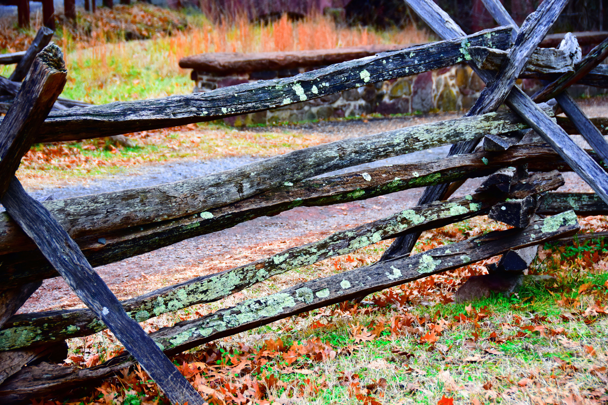 Nikon D3400 sample photo. Fences photography
