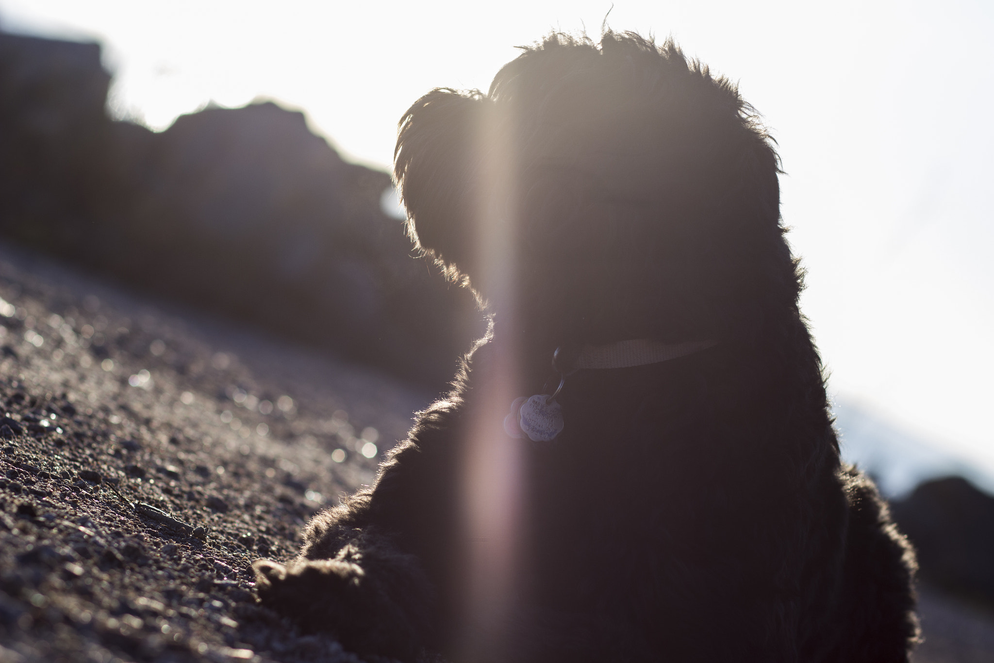 Canon EF 85mm F1.8 USM sample photo. Lost in thought photography