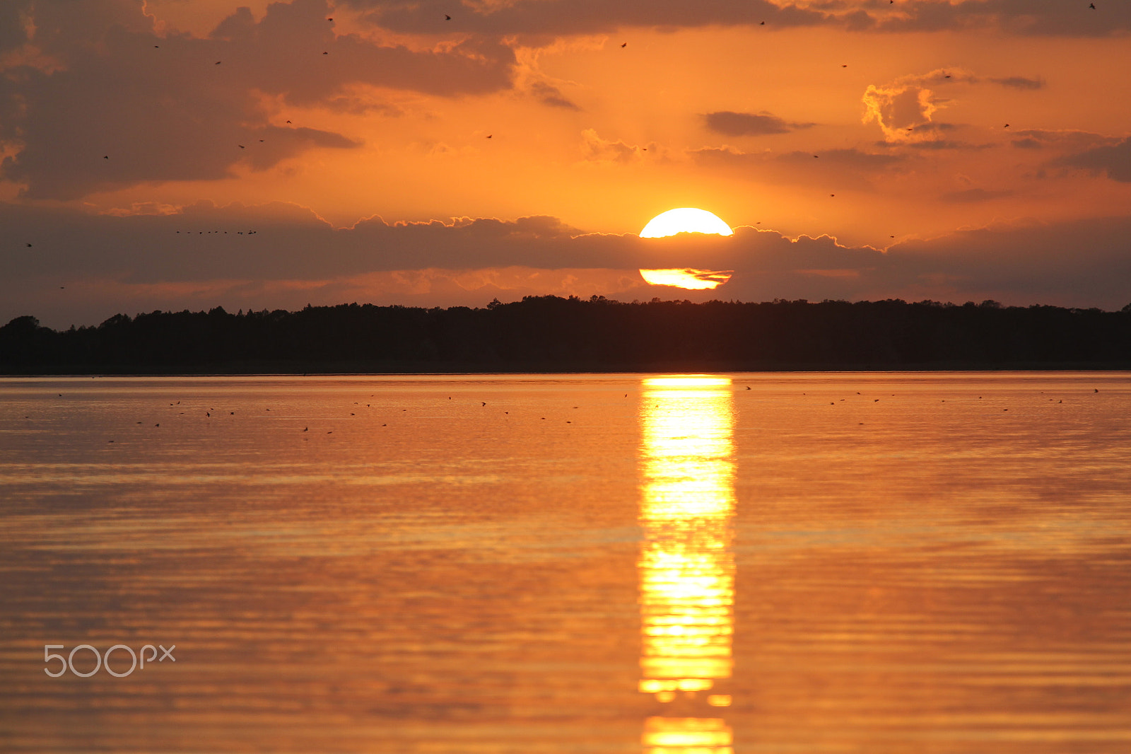 Canon EOS-1D Mark IV sample photo. Florida sunset photography