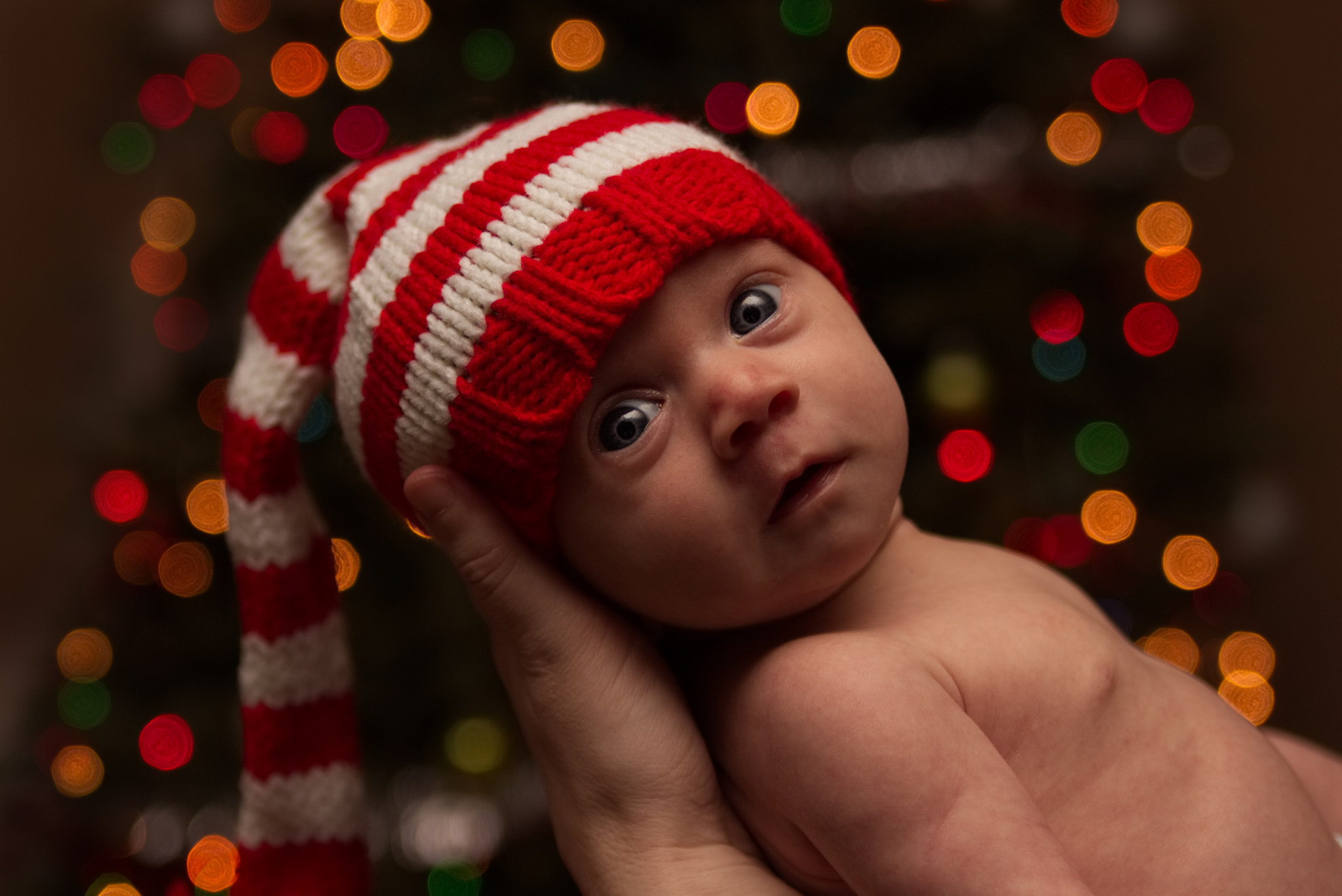 Canon EOS 700D (EOS Rebel T5i / EOS Kiss X7i) sample photo. Lottie christmas photography